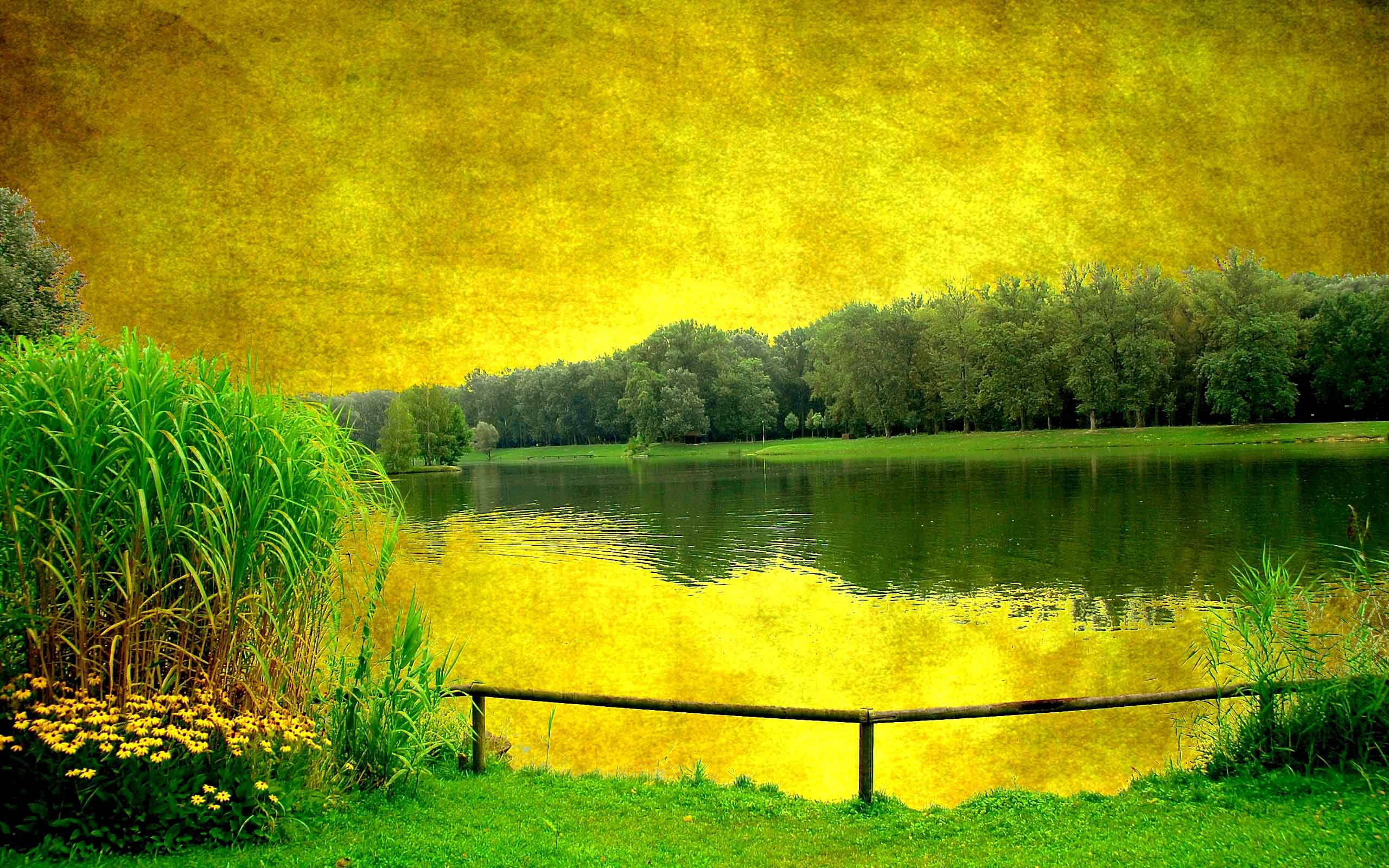 Grøn himmel over en flod Wallpapers