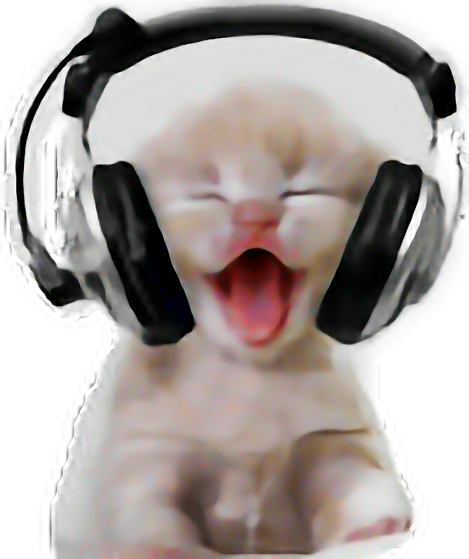 Grøn kat med hovedtelefoner.PNG Wallpapers