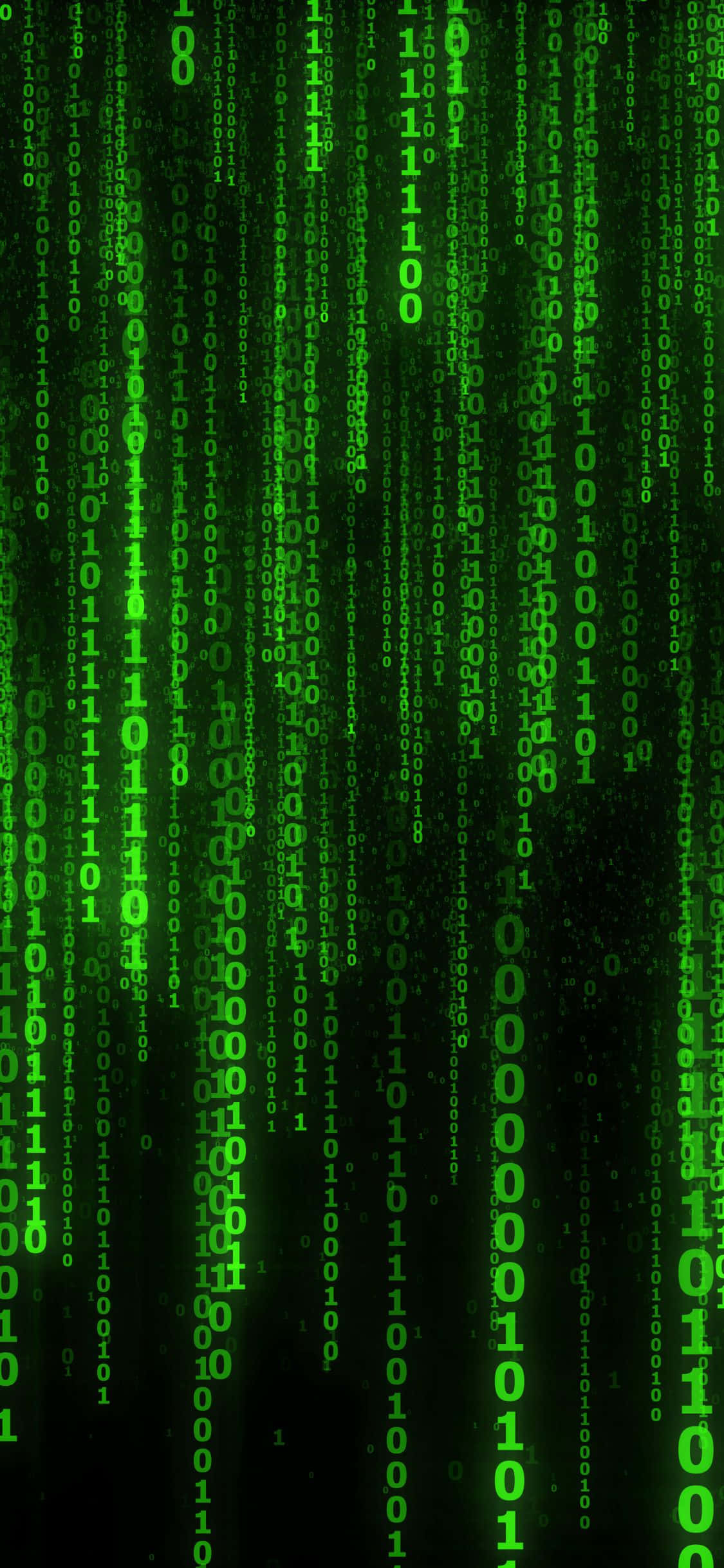 grøn matrix-kode på sort baggrund Wallpapers