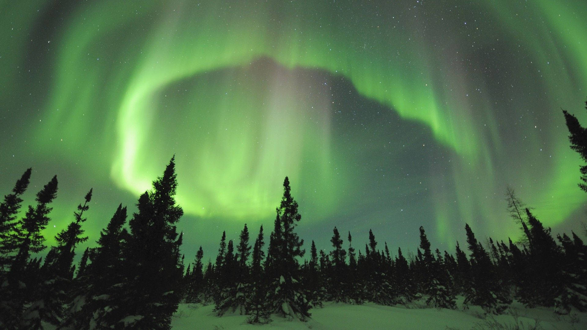 Grøn himmel med nordlys Wallpapers