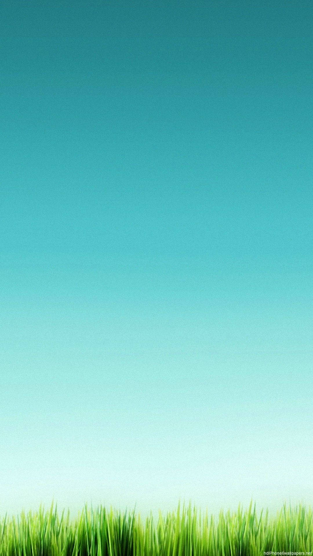 Grøn himmel og græs Wallpapers