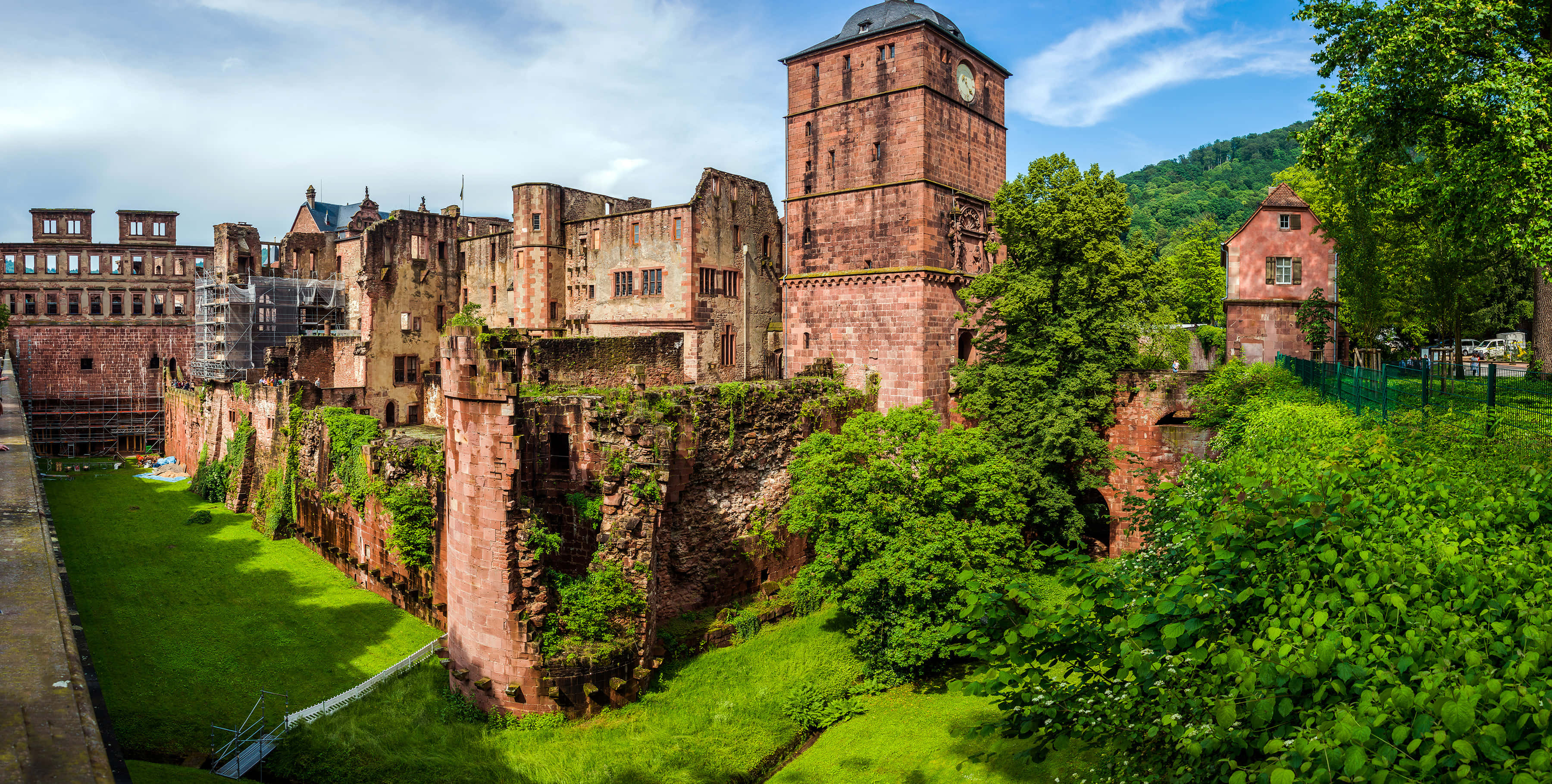 Grøn mos på Heidelberg Slot Wallpapers