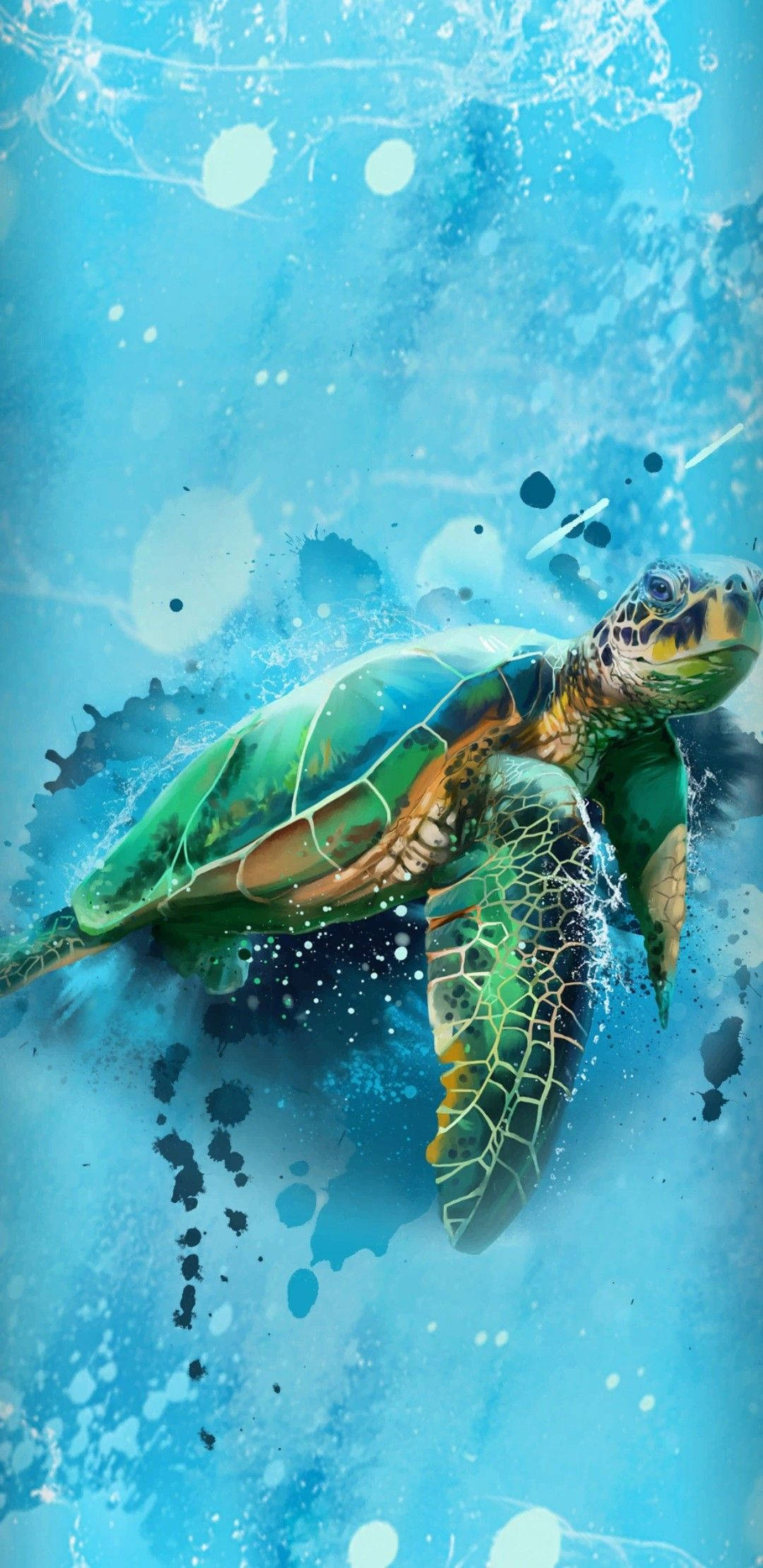 Grøn sød skildpadde med malingstænk Wallpapers