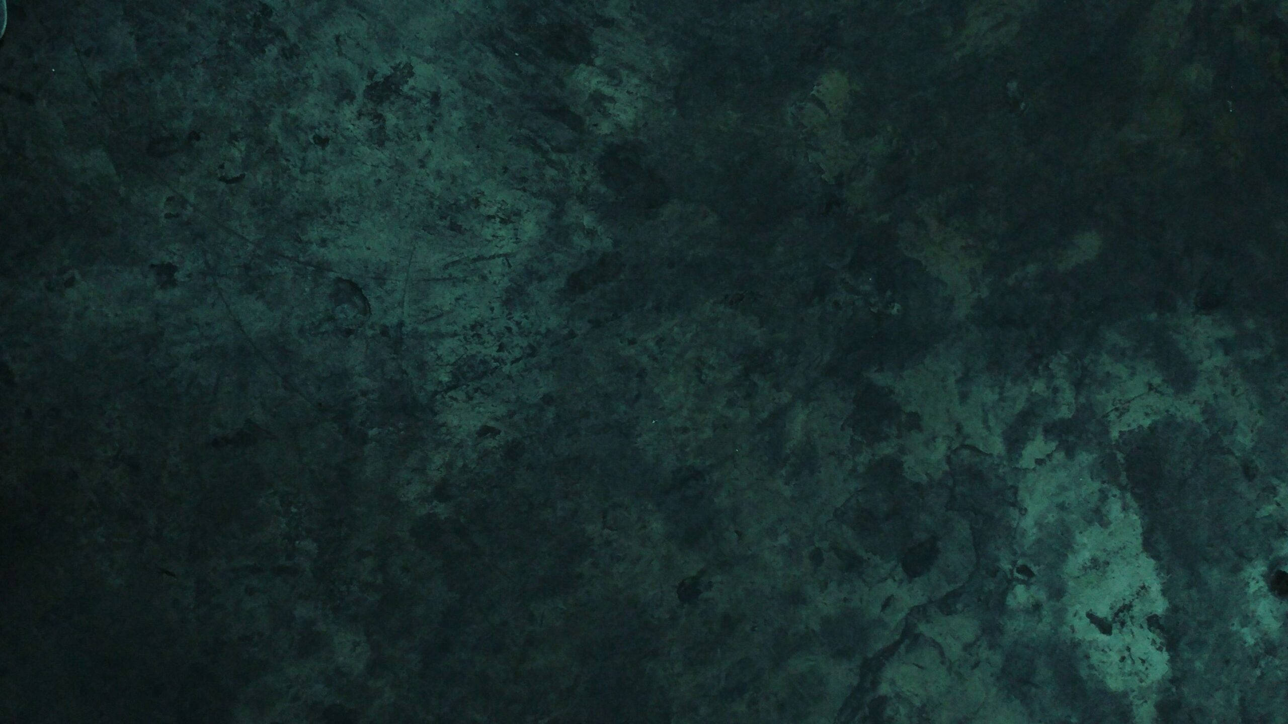 Grøn vægtekstur Wallpapers