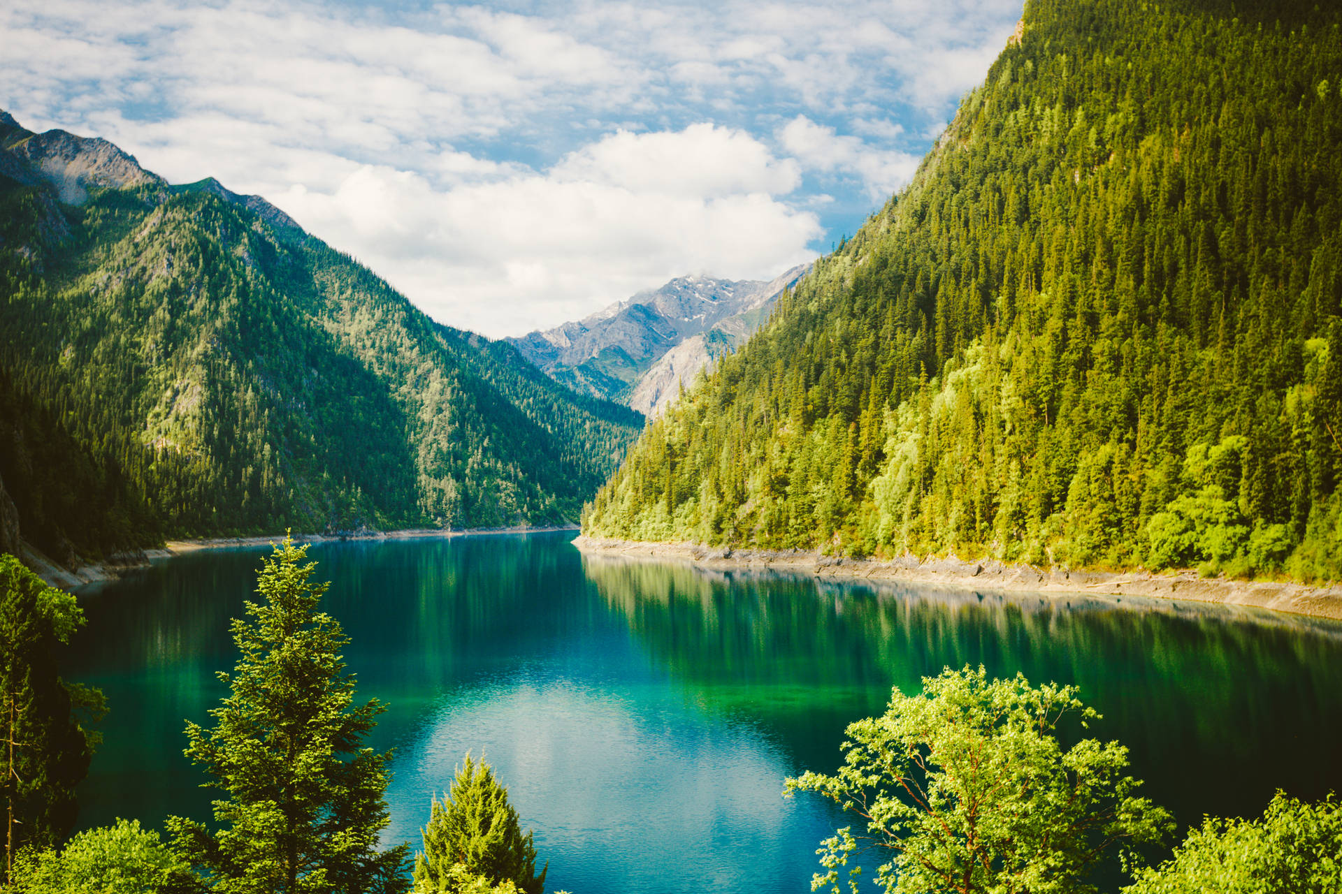 Grønt naturlandskab tapet — Natur Wallpapers