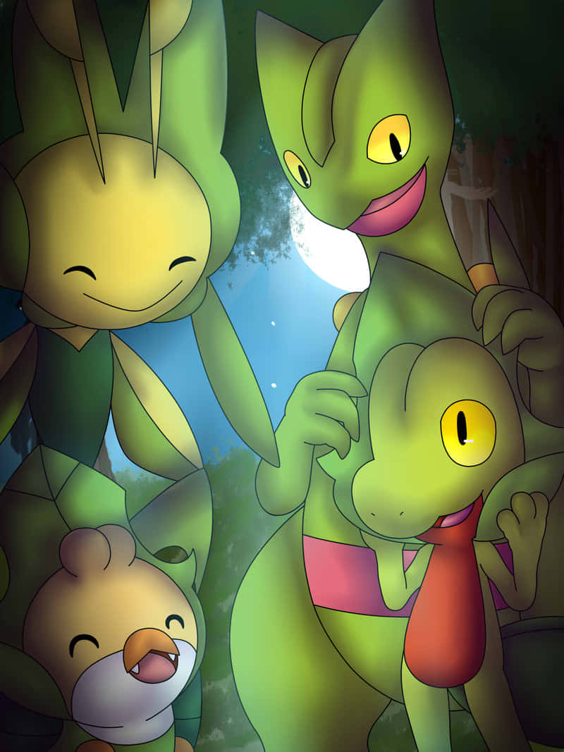 Grovyle med grønne Pokémon Wallpapers