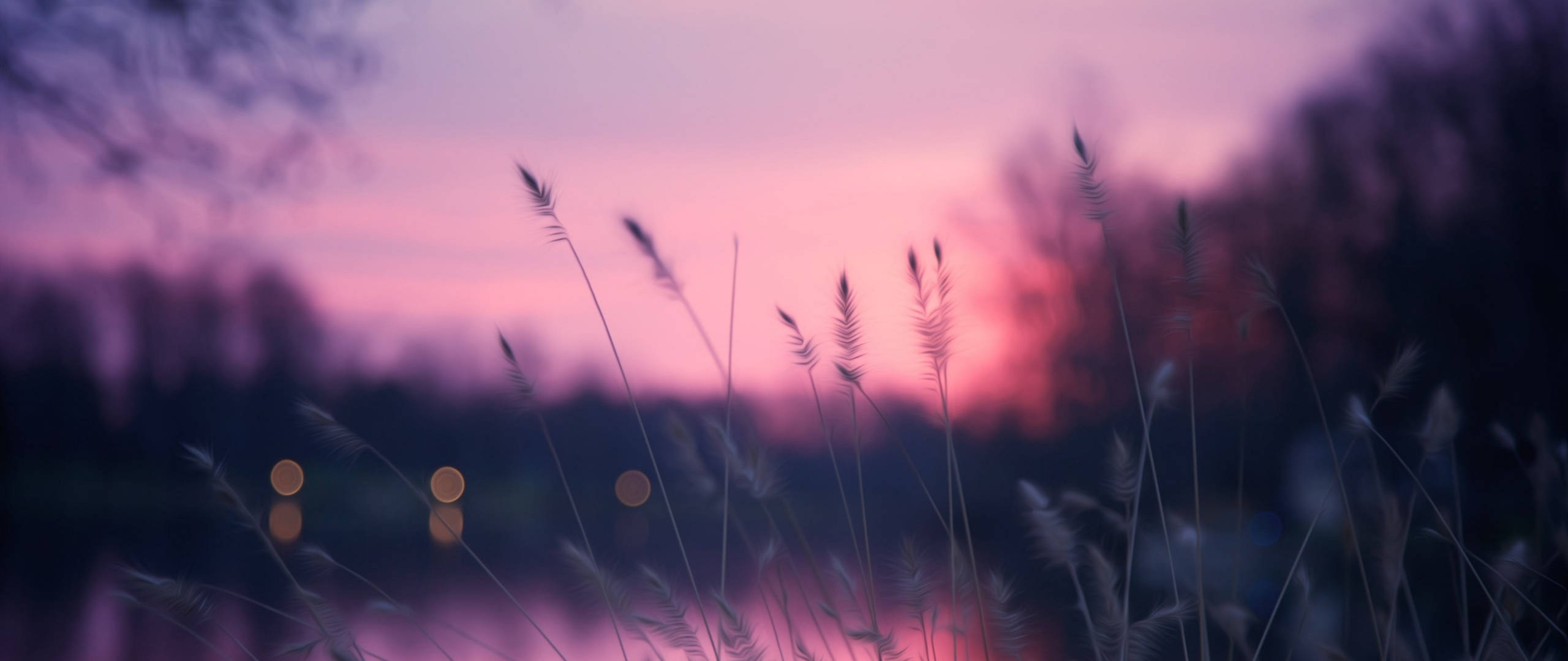 Græs under solnedgangshimmel Pinterest Laptop Wallpapers