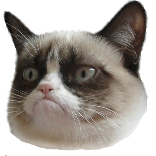 Grumpy Cat hoved gennemsigtig baggrund.PNG Wallpapers