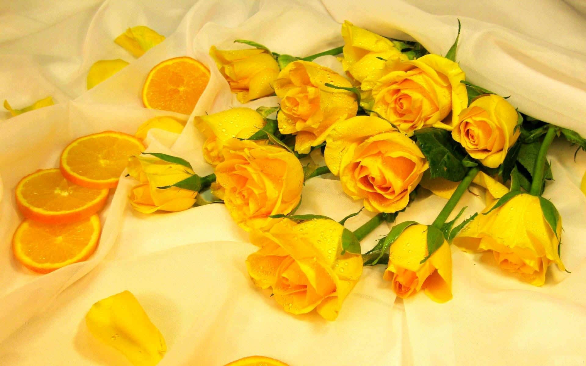 Gul æstetisk mælkebøtte computer Wallpapers