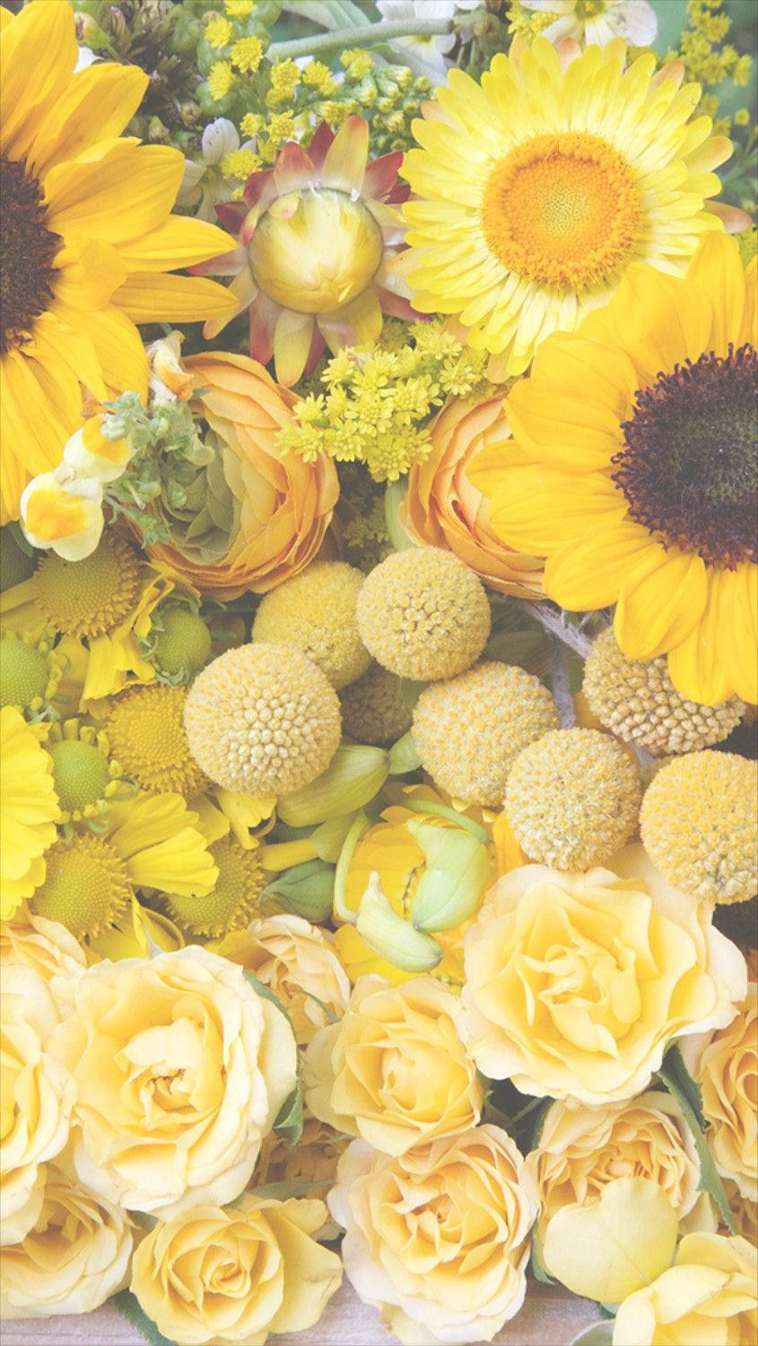 Gul Blomstret iPhone Wallpapers
