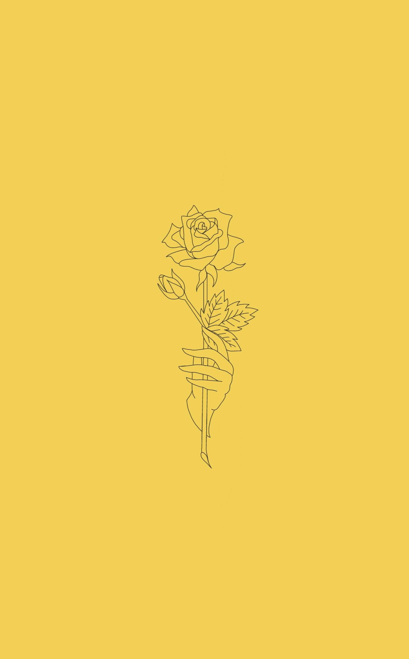 Gul rose æstetiske skitser Wallpapers