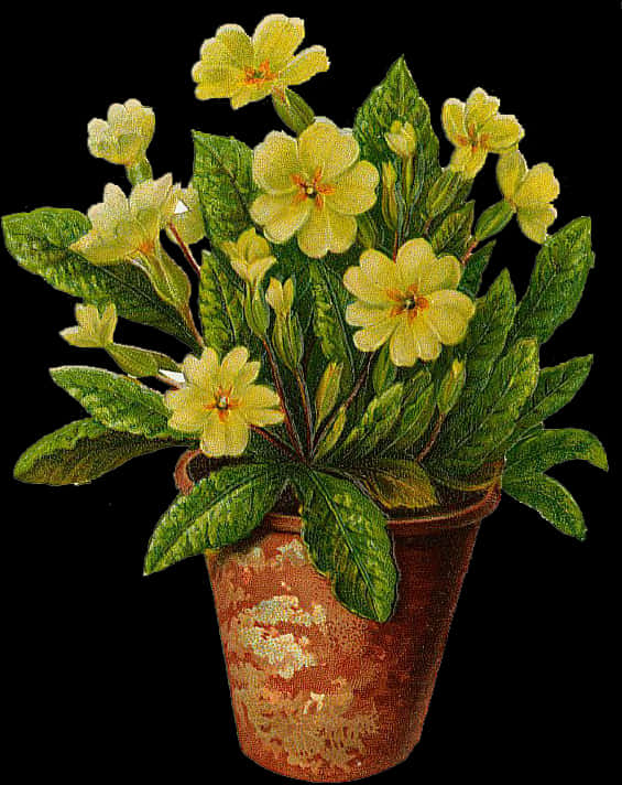Gule blomster i blomsterkrukke Wallpapers