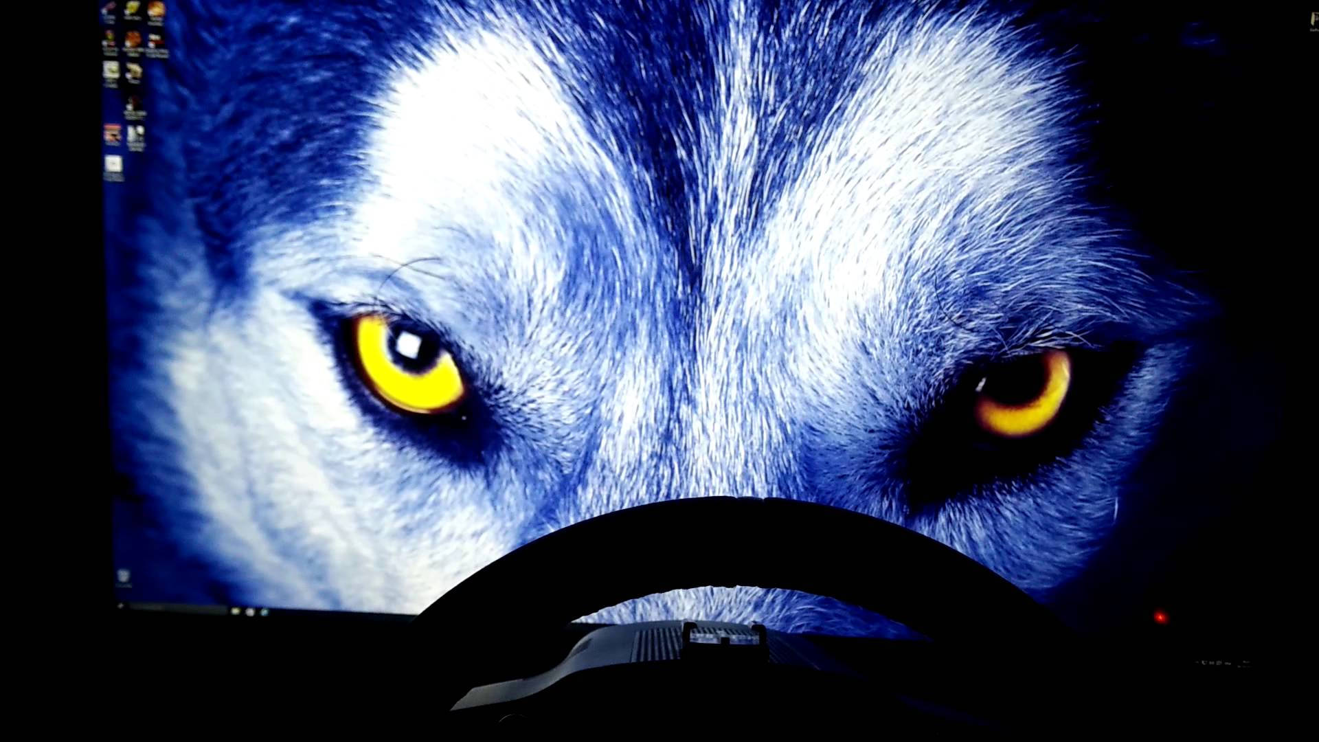 Guløjet ulv, der strejfer gennem skoven Wallpapers