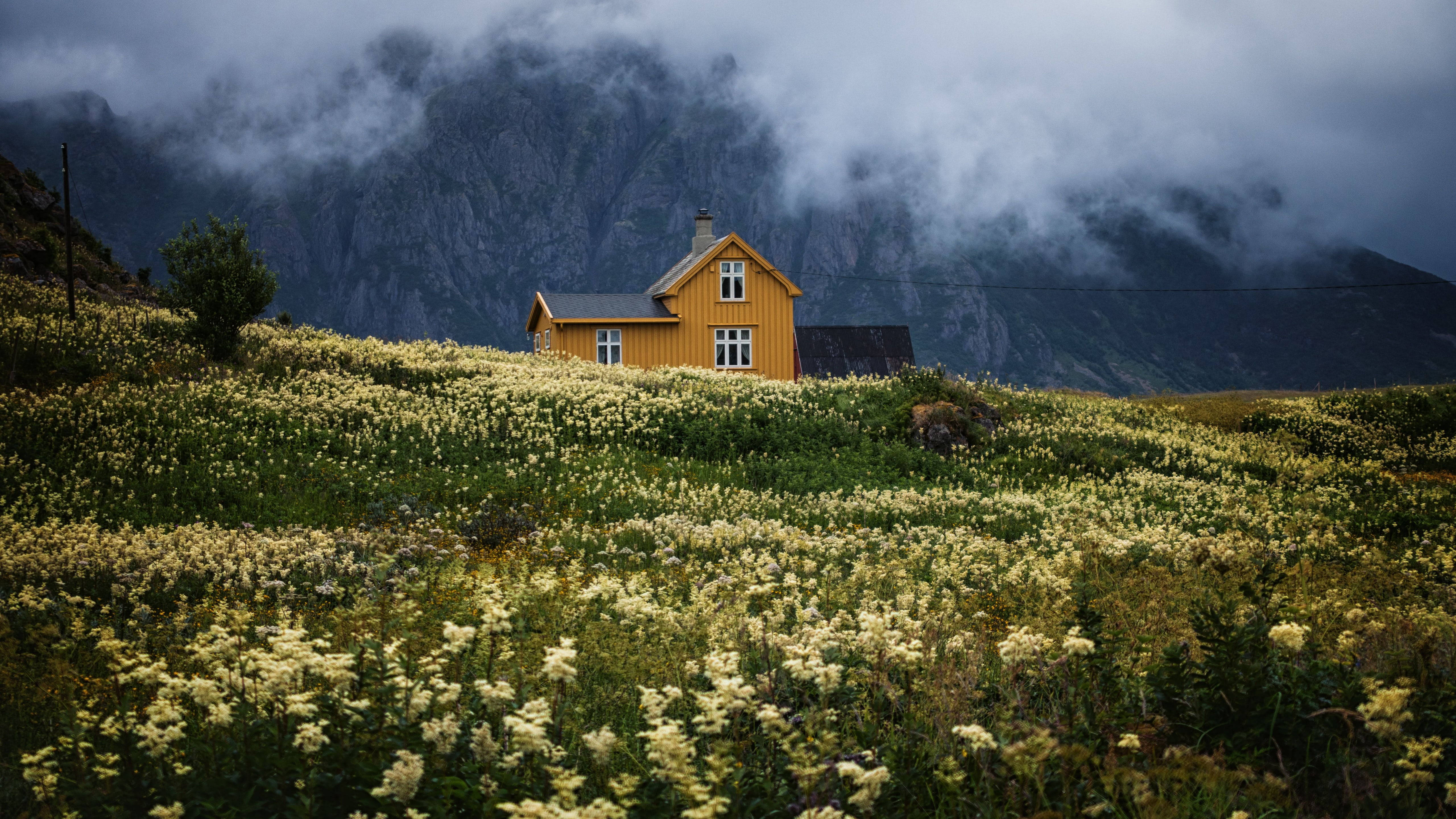 Gult hus ved bjergfod i cottagecore-stil Wallpapers