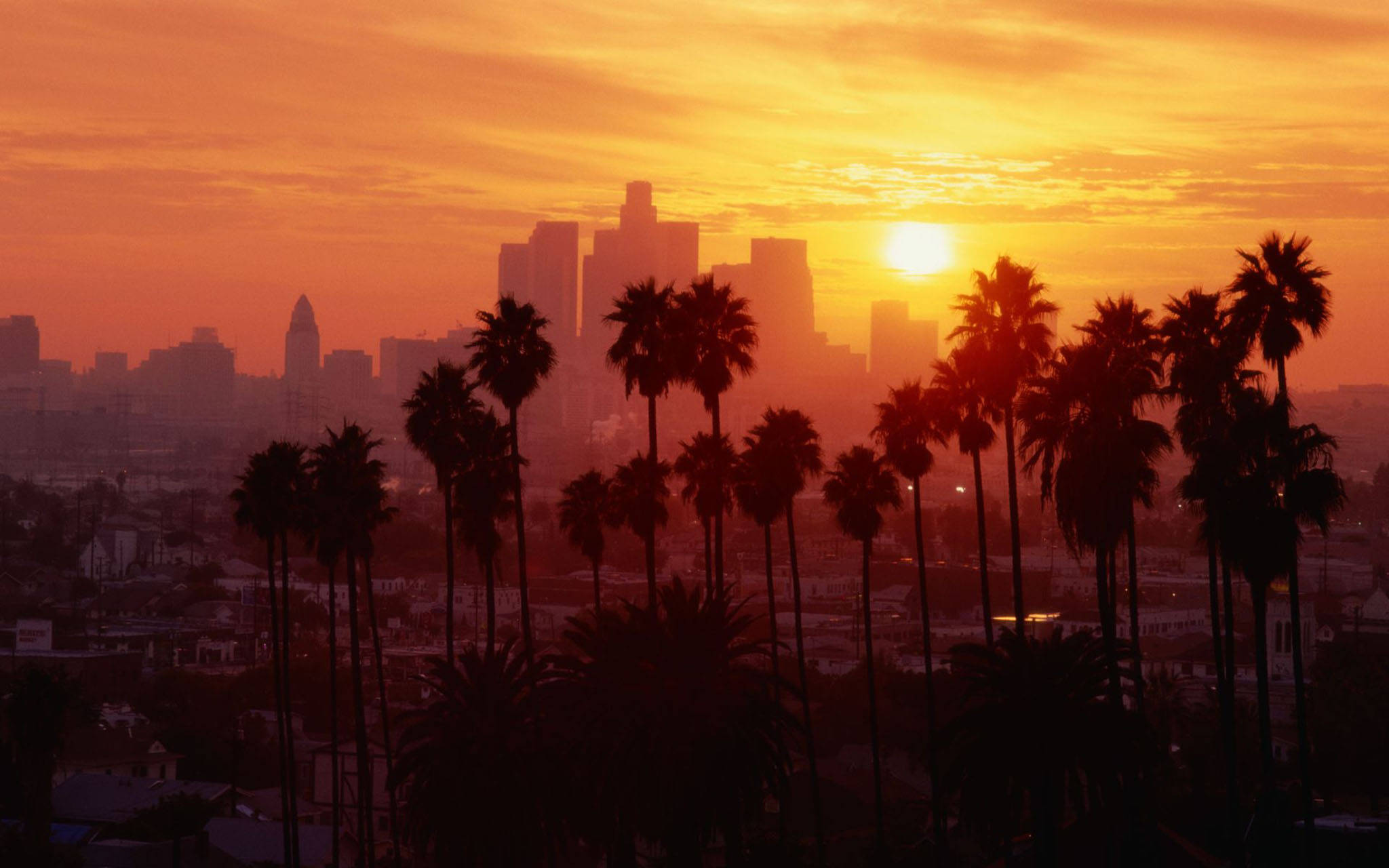 Gylden solnedgang i Los Angeles Wallpapers