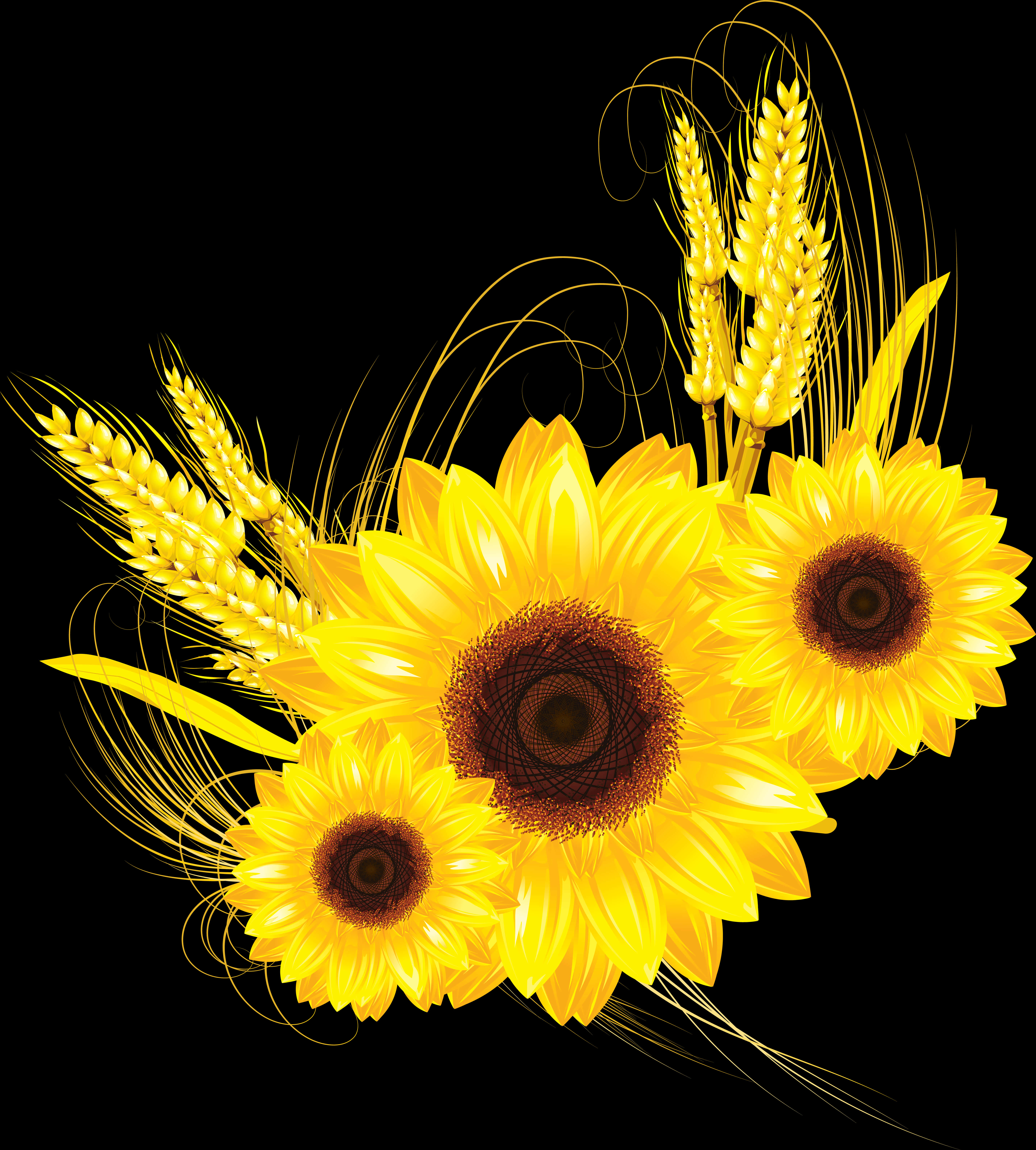 Gyldne solsikker og Wheaton sort Wallpapers