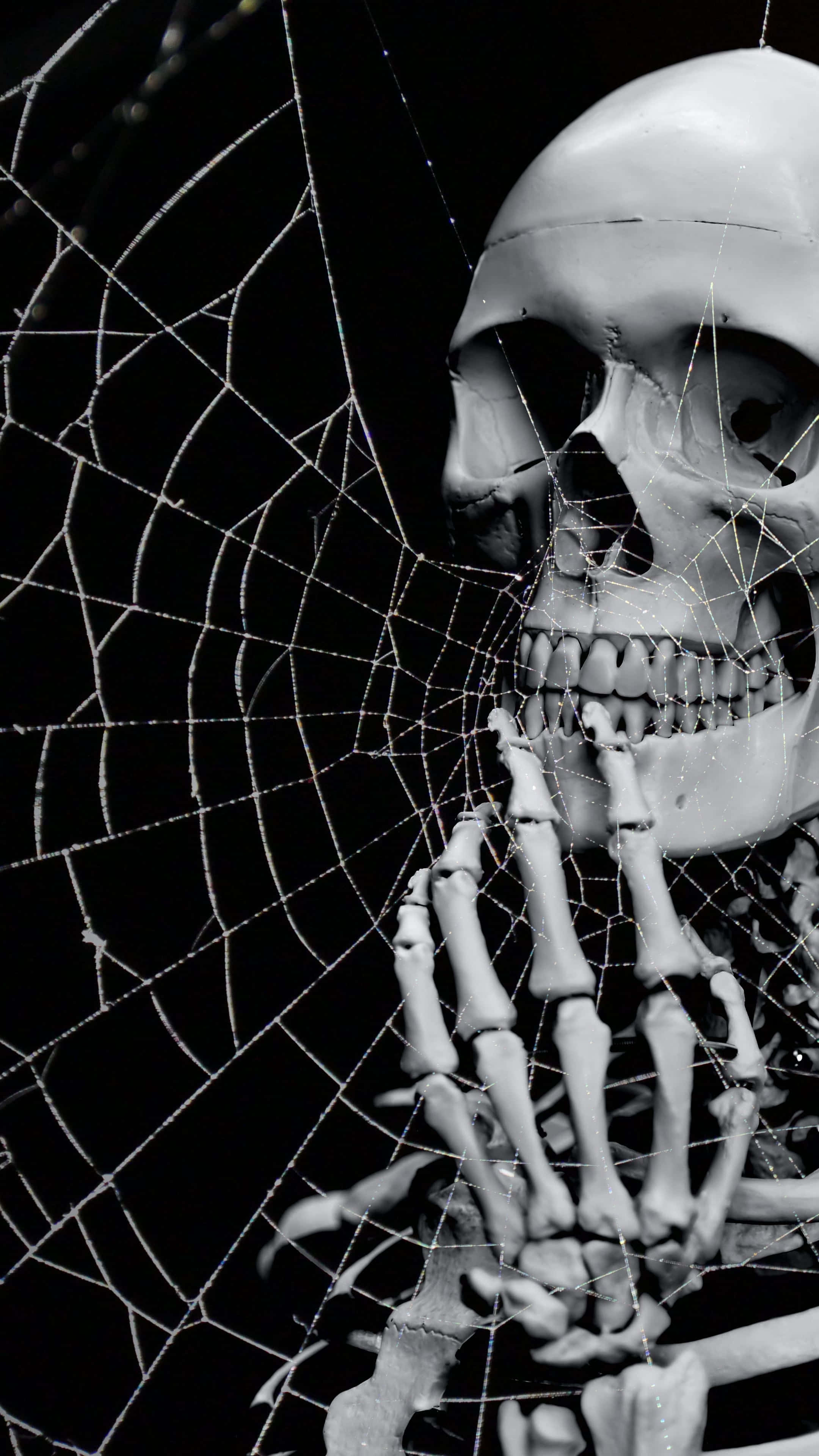 Halloween 2160 x 3840 baggrund Wallpapers
