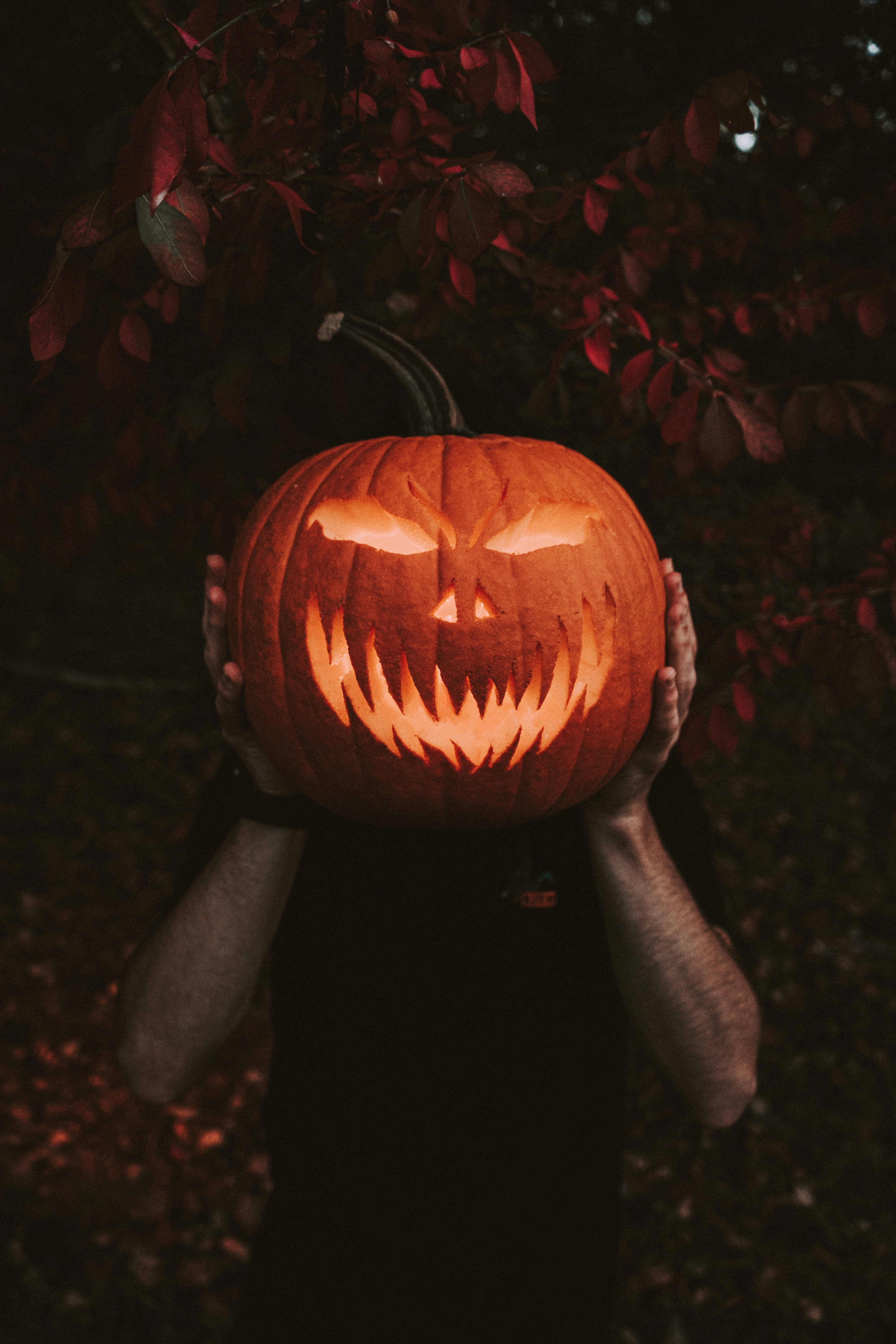 Halloween græskar mobilbillede Wallpapers