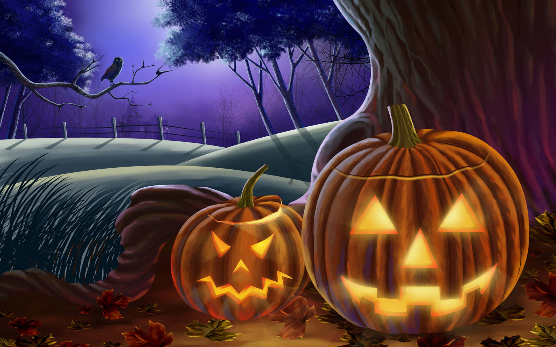 Halloween græskar baggrund træbark Wallpapers