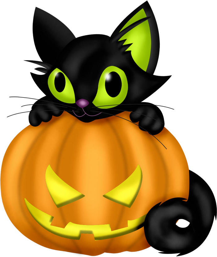 Halloween kat på græskar Wallpapers