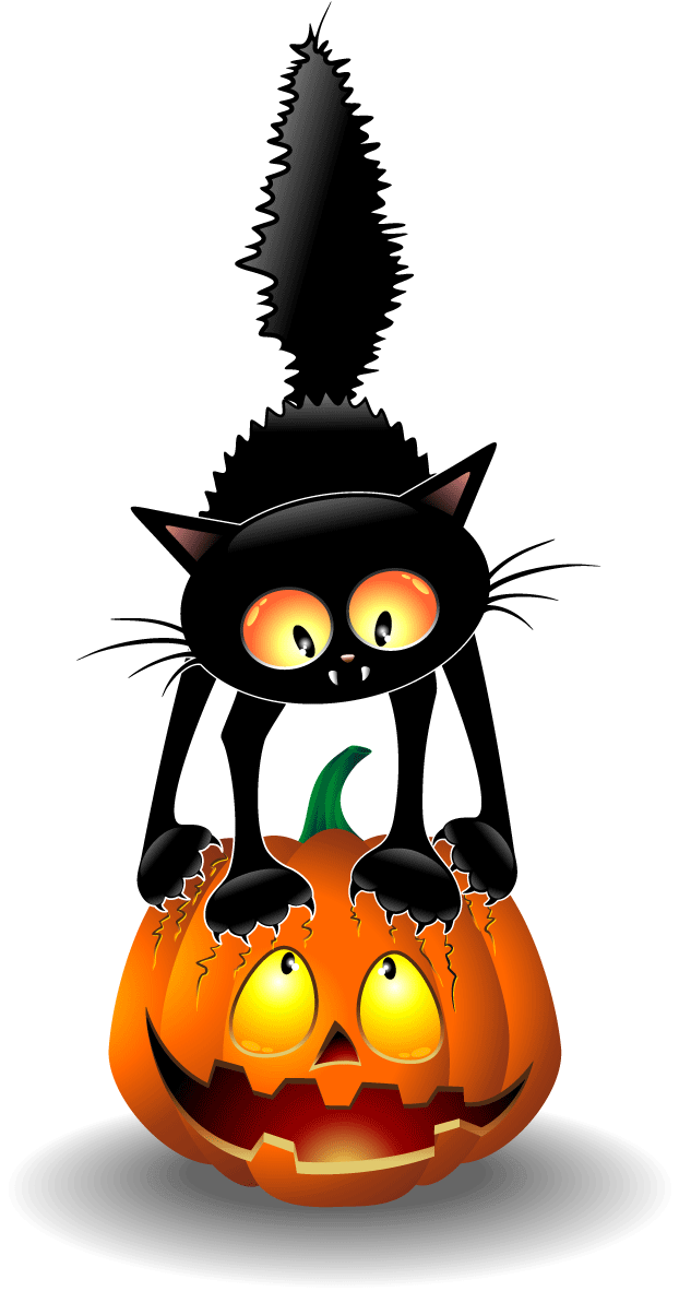 Halloween Sort Kat og Jack O Lantern Wallpapers