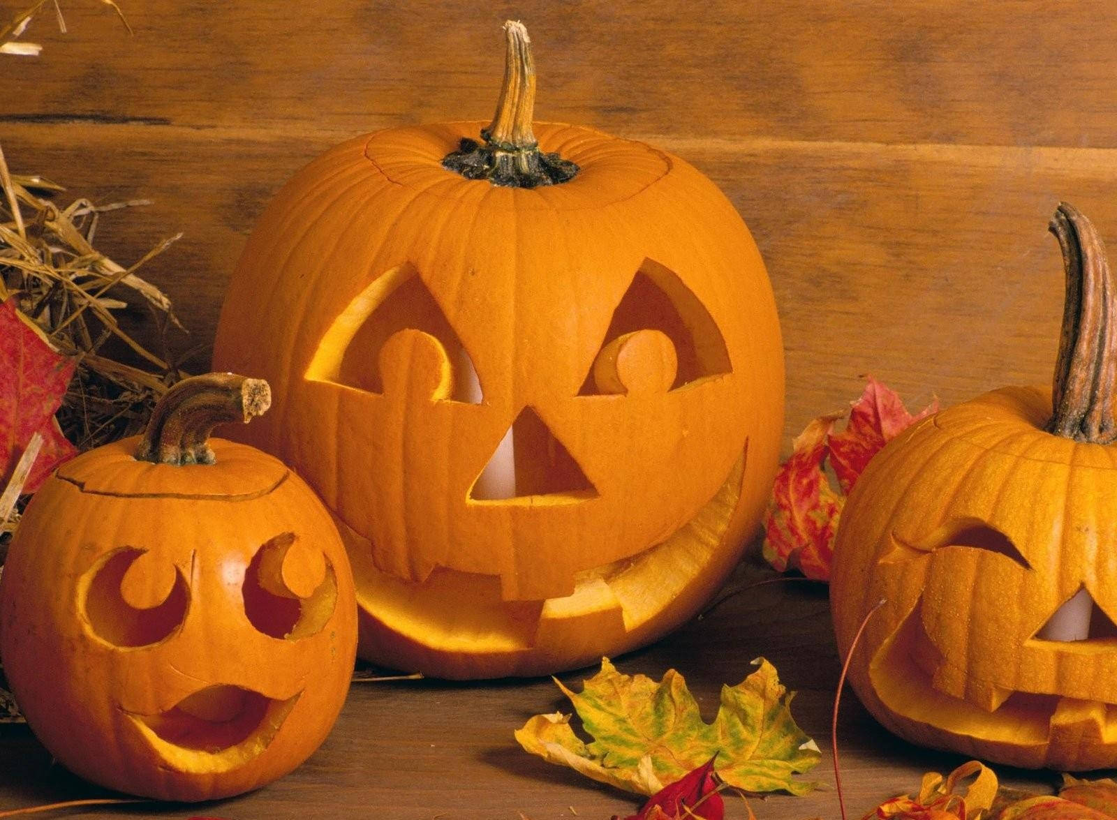 Halloween-udskårne græskaransigter Wallpapers