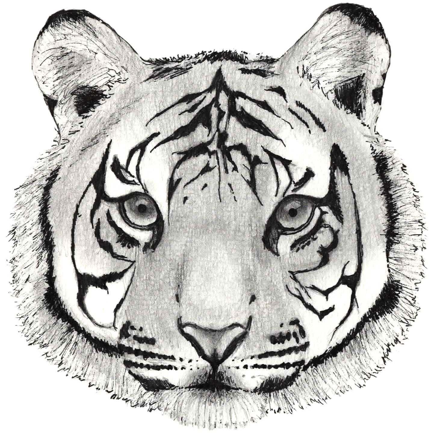 Håndtegnet tigerskits af ansigt Wallpapers
