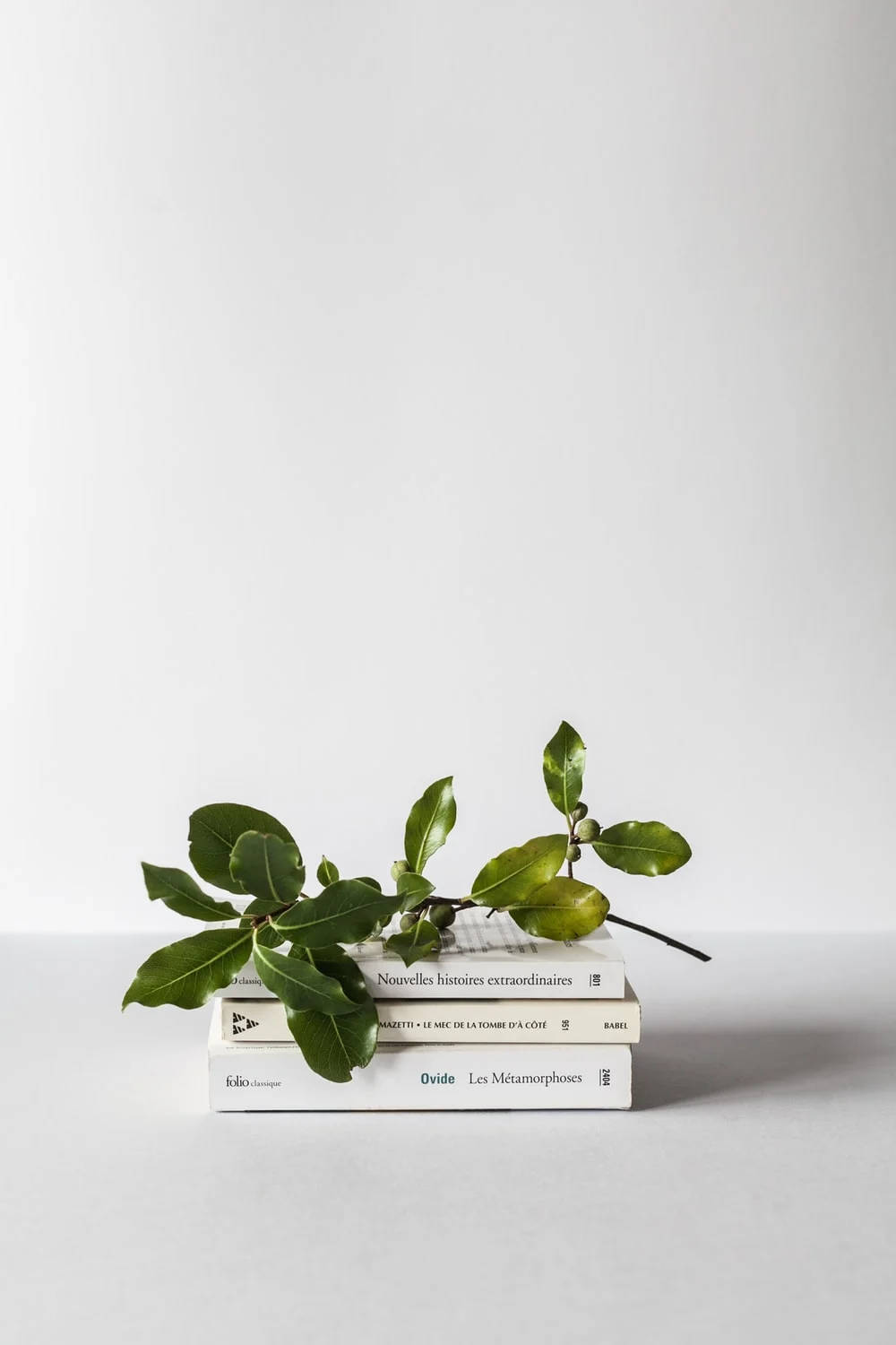 Harmonisk blanding af lærd ro – grøn og hvid æstetik med grene og bøger Wallpapers