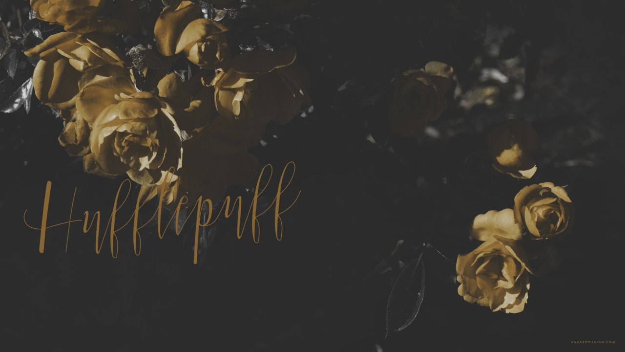 Harry Potter Aestetisk Hufflepuff Wallpapers