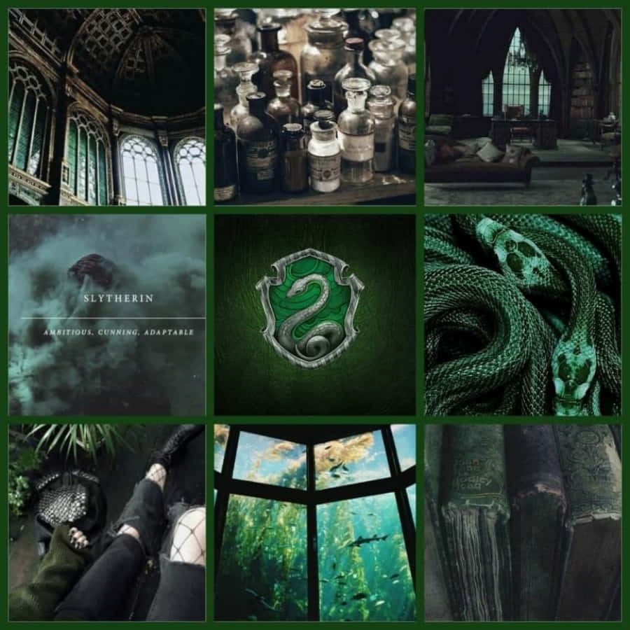Harry Potter collage med grønne og sorte billeder Wallpapers