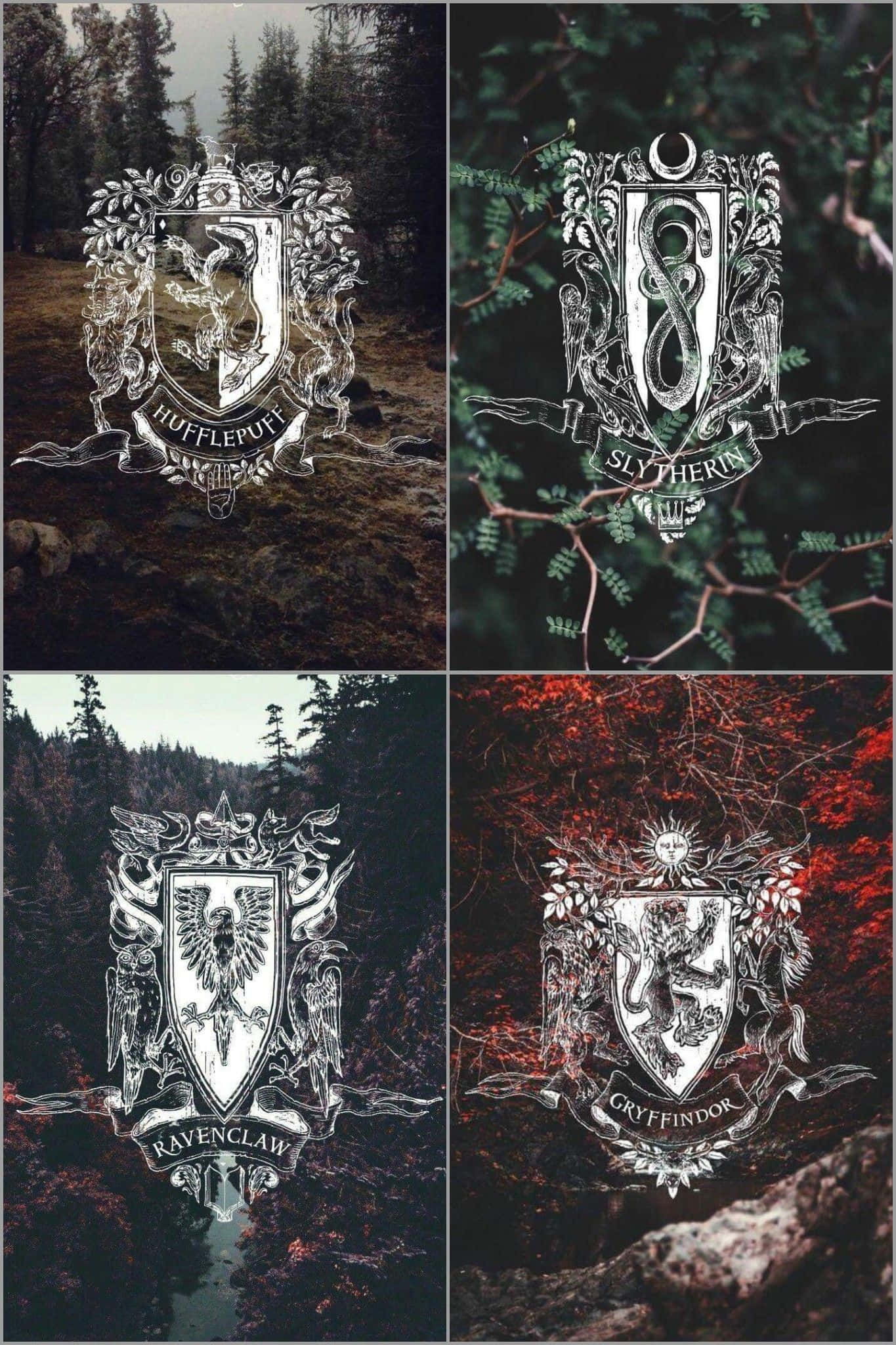 "Harry Potters magi" Wallpapers