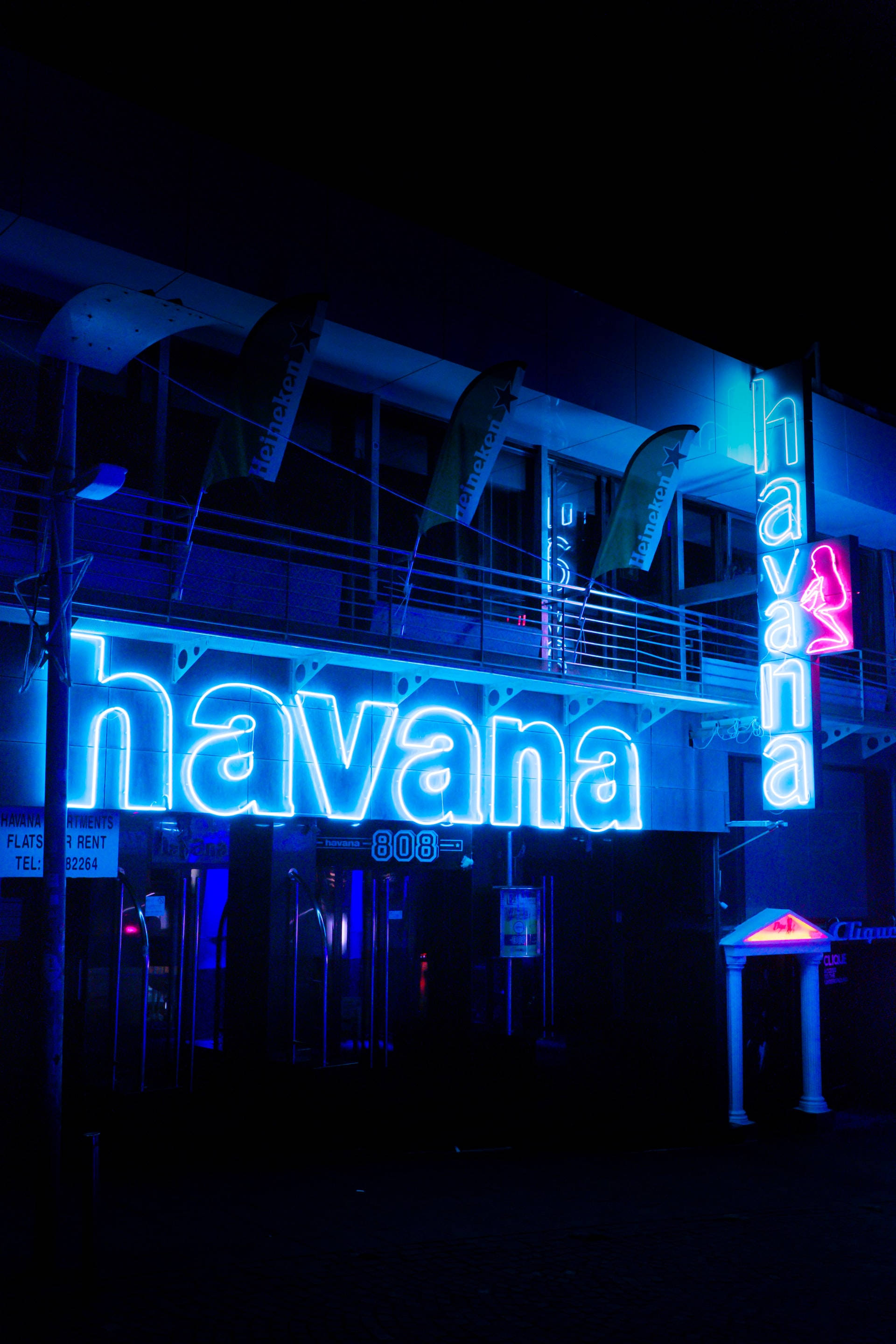Havana i neonblå iPhone Wallpapers