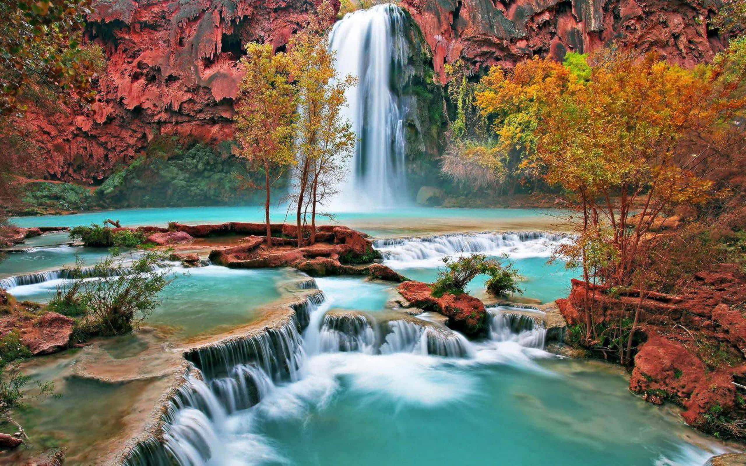 Havasu Falls Vandfald Desktop Arizona Wallpapers