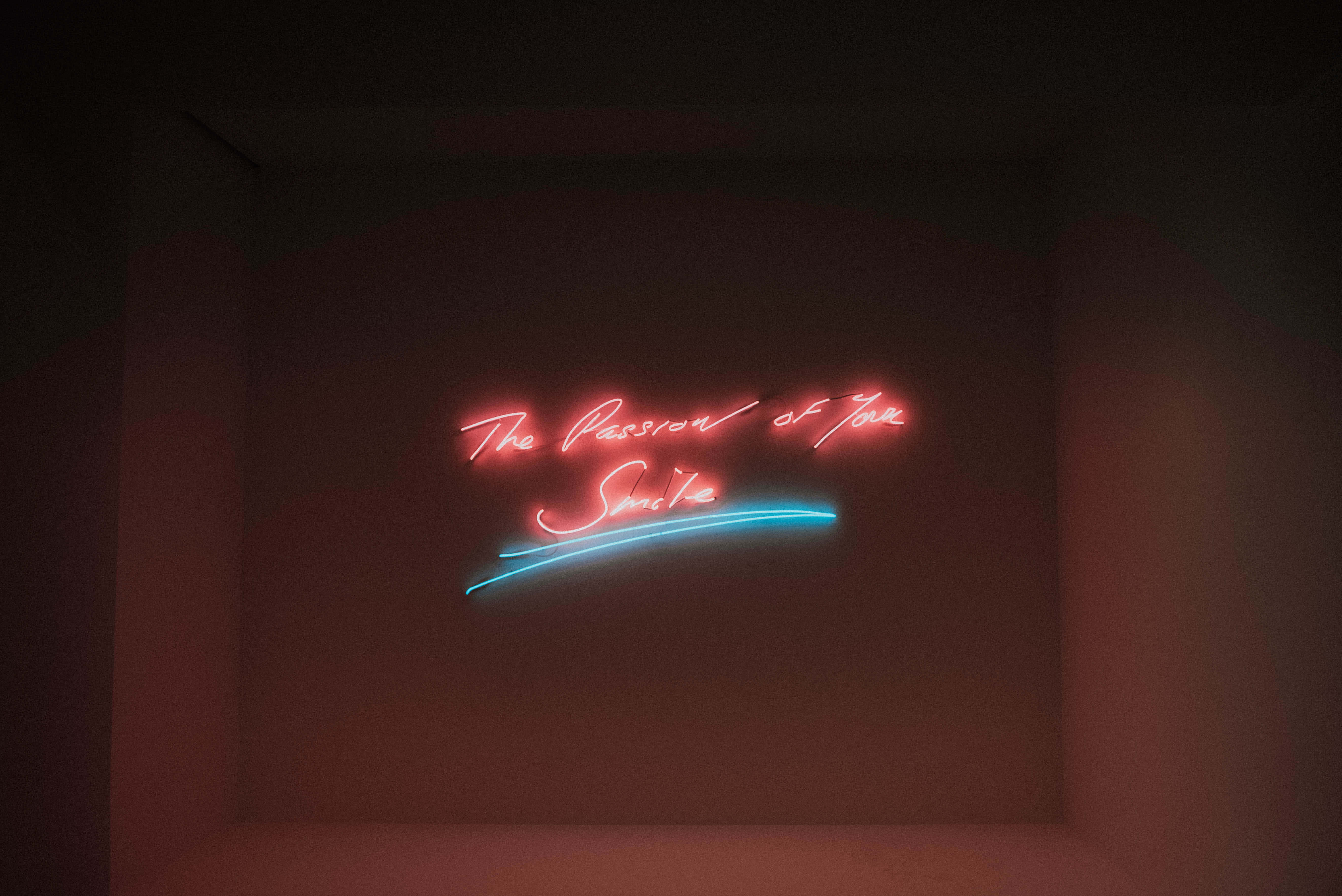havets dronning, neon, c s s s s s s s s s s Wallpapers