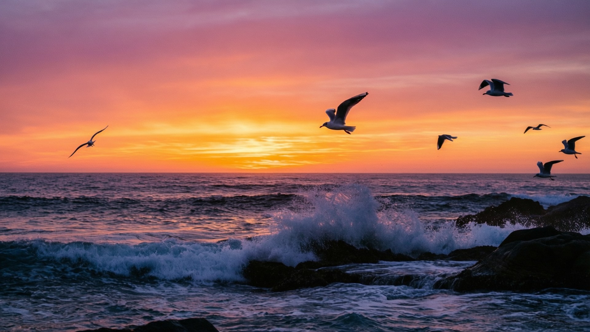 Havsolnedgang Silhuet Wallpapers