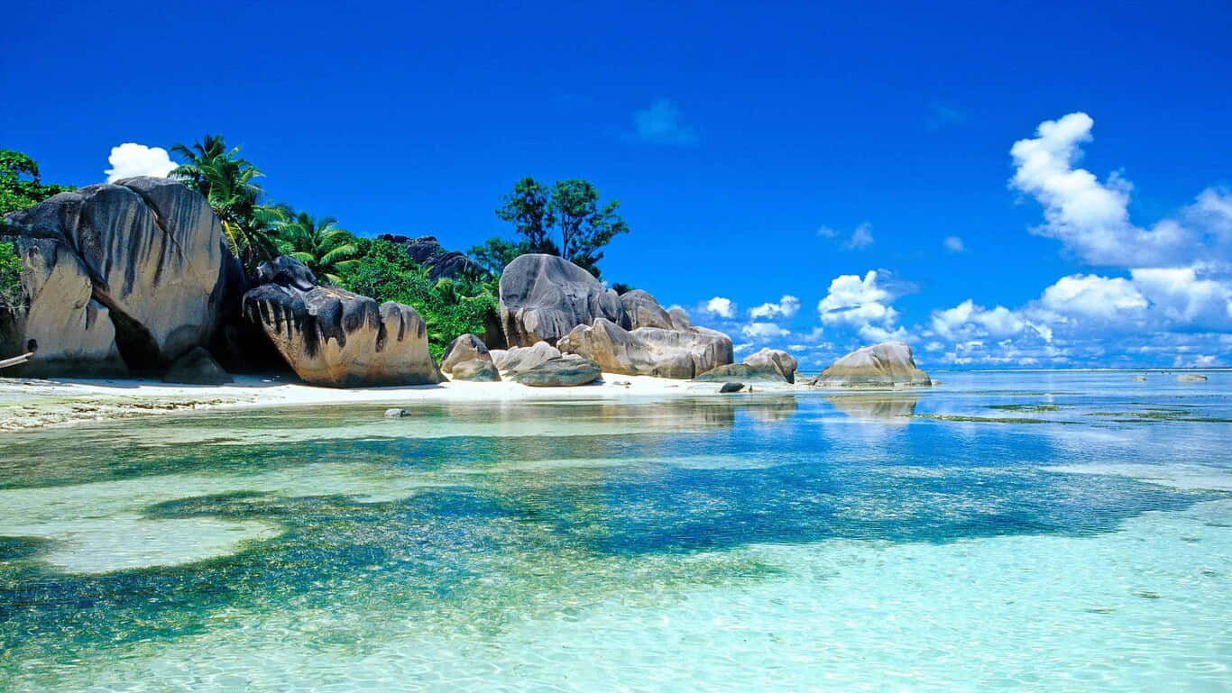 HD Strandø i Sri Lanka Wallpapers