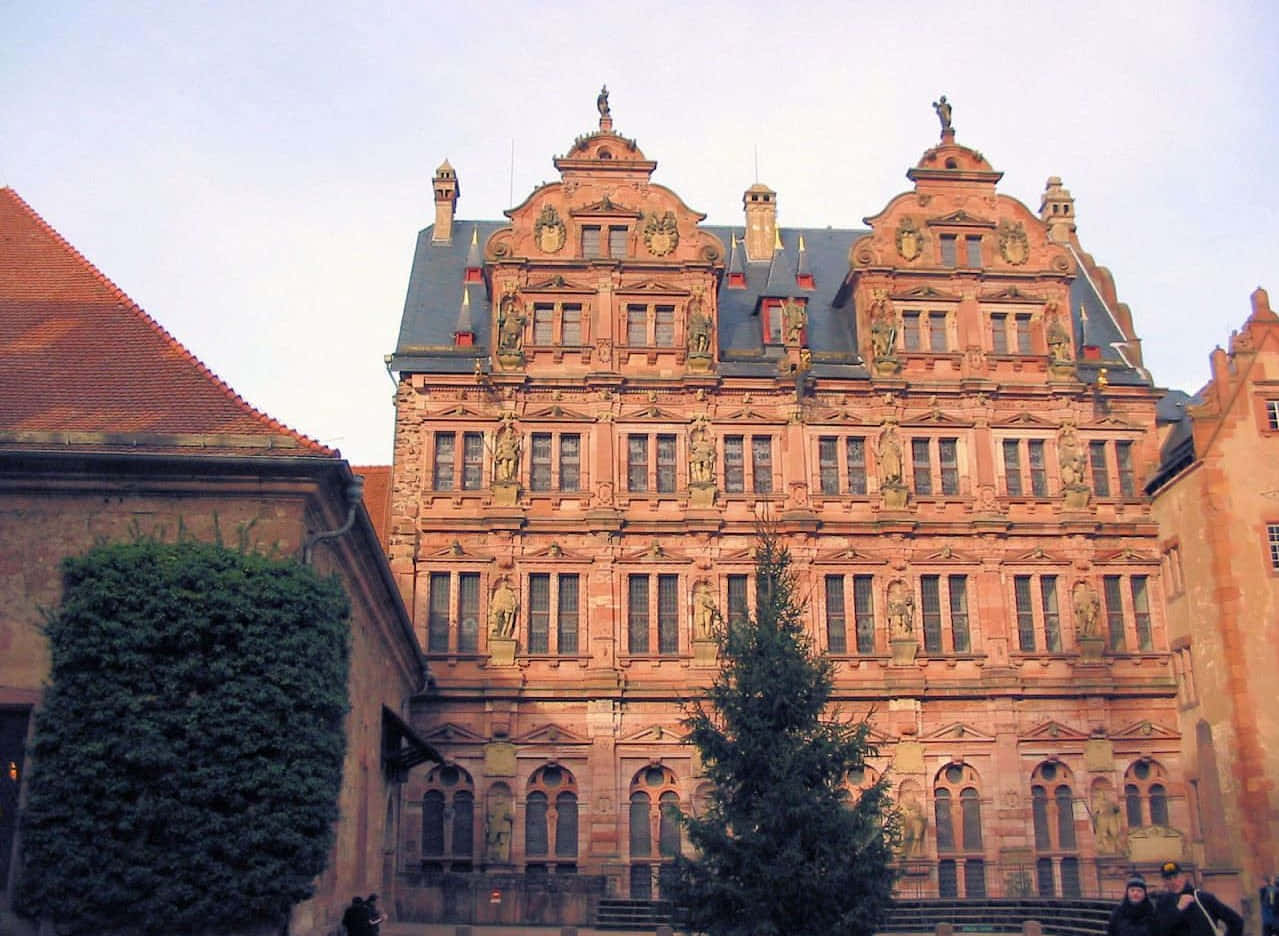 Heidelberg Slot fra frøperspektiv Wallpapers