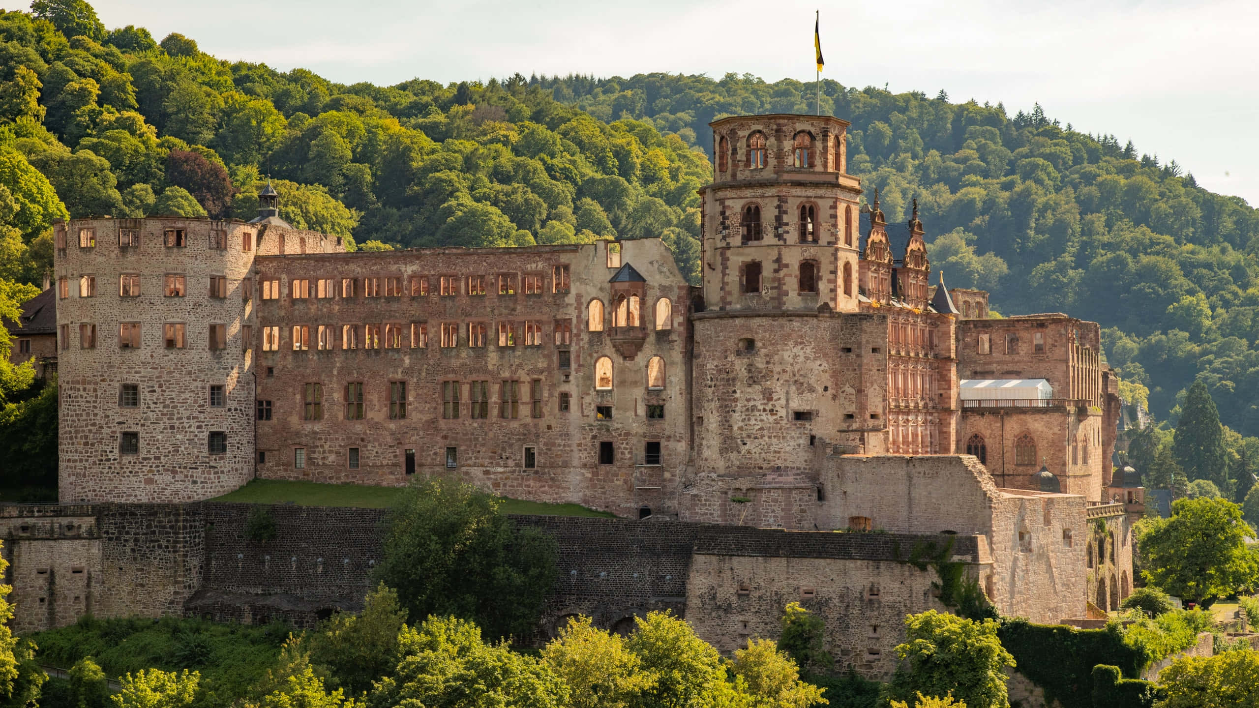 Heidelberg Slot Om Morgenen Wallpapers