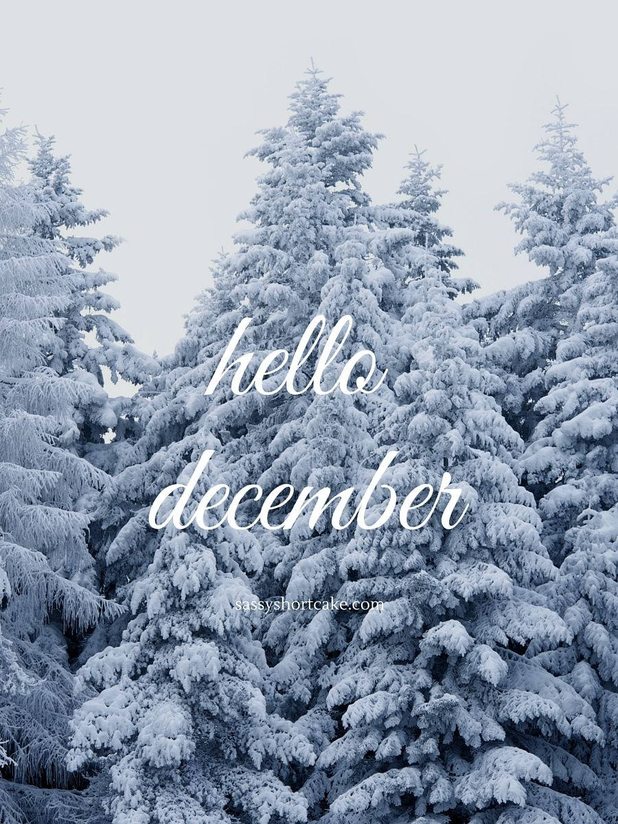 Hej December Smukke Snedækkede Træer Wallpapers