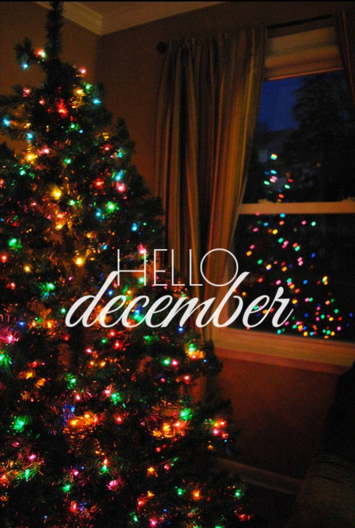 Hej December Stort Juletræ Wallpapers