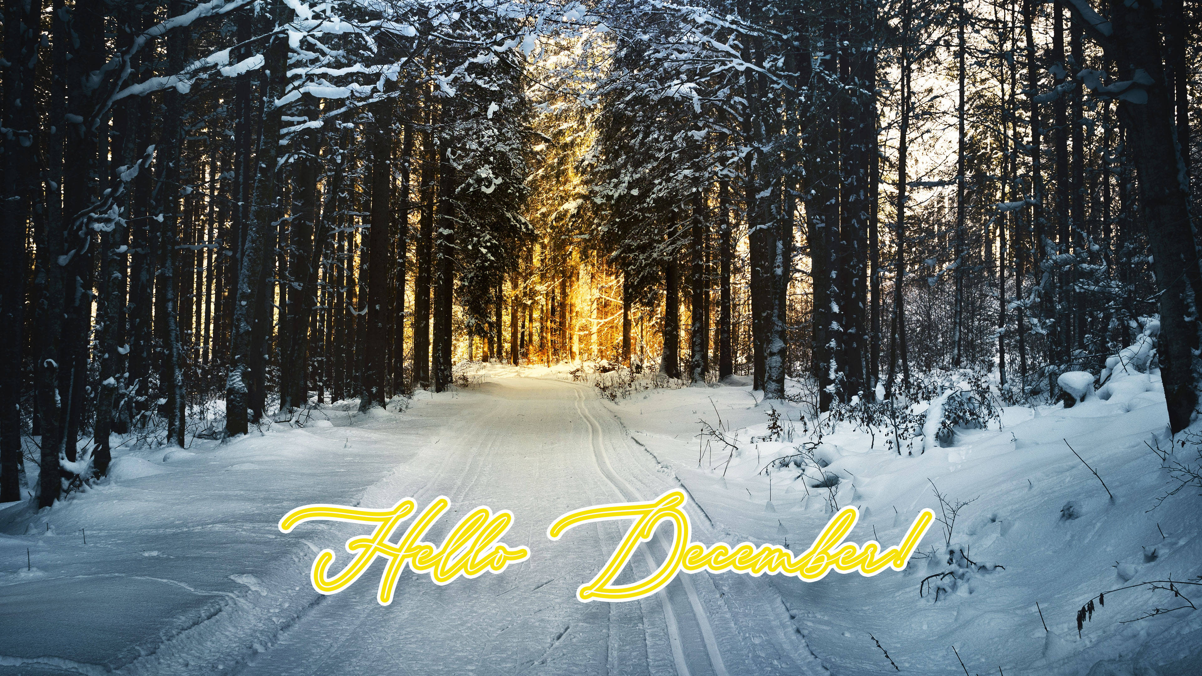 Hej December Vinterskov Wallpapers