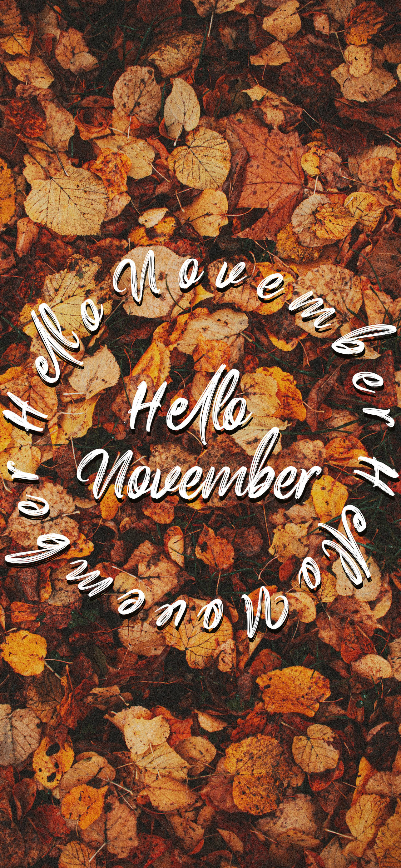 Hej November på efterårsblade Wallpapers