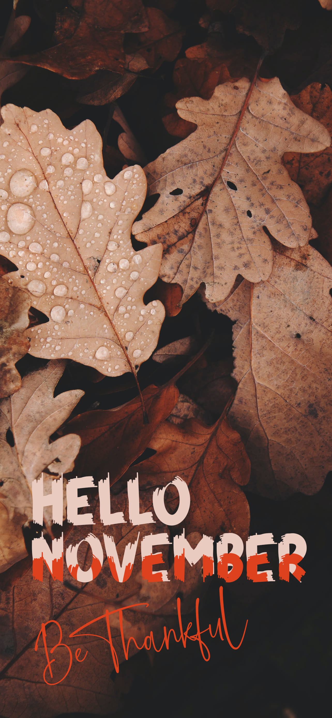 Hej November Vær Taknemmelig Wallpapers