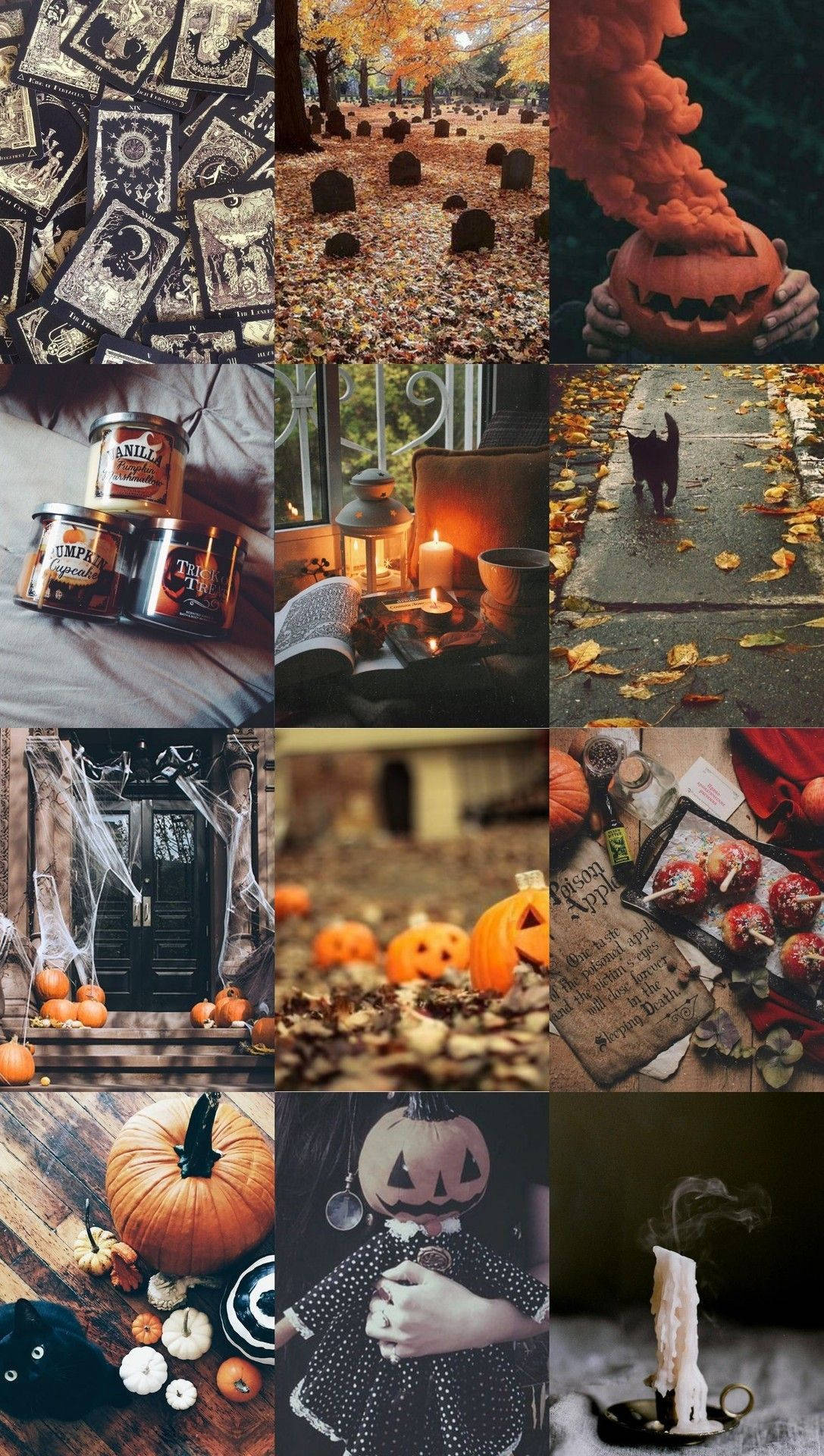 Hekserig Halloween-stemning Wallpapers