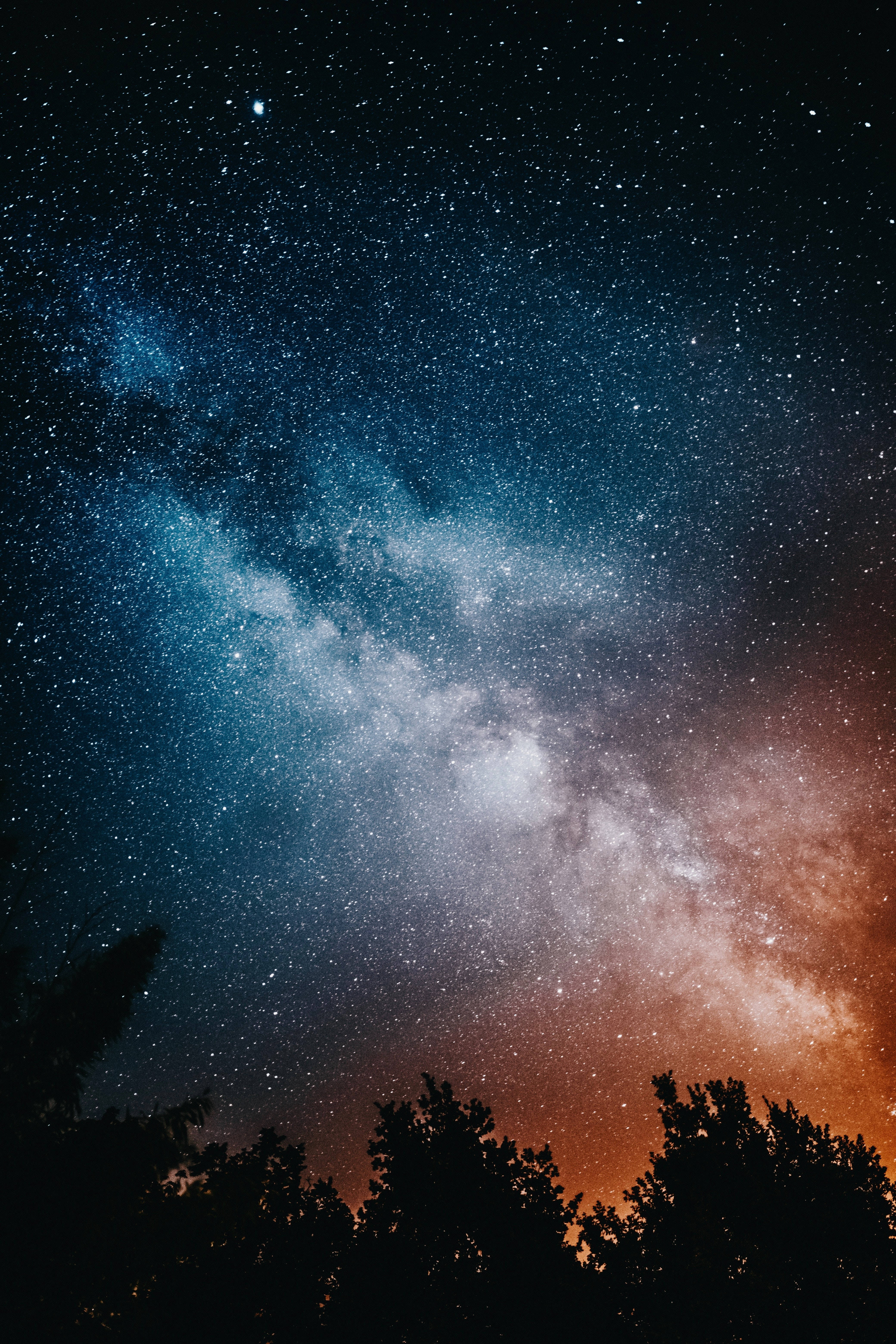 Højopløselig stjerne og træer Wallpapers