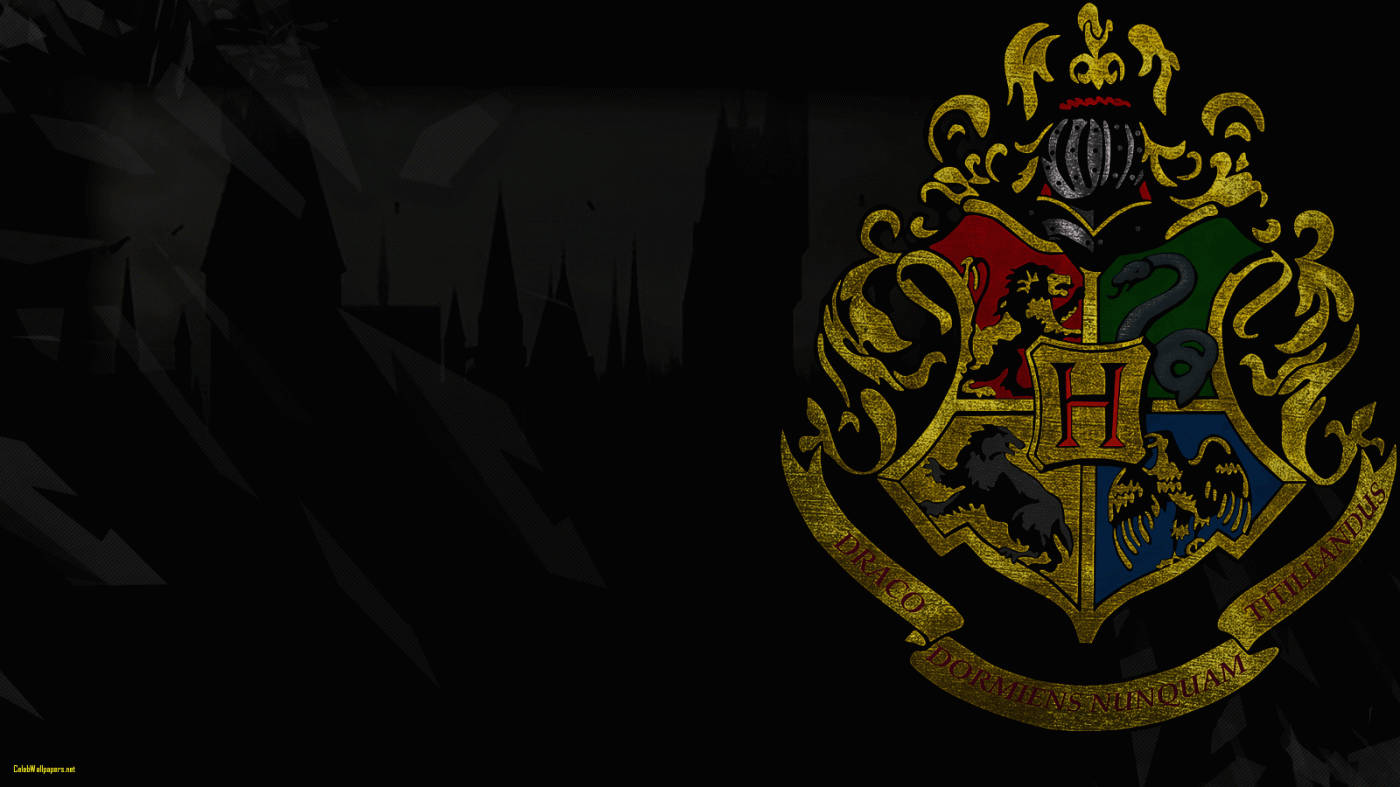 Hogwarts-huse med campus-silhuet Harry Potter iPad Wallpapers