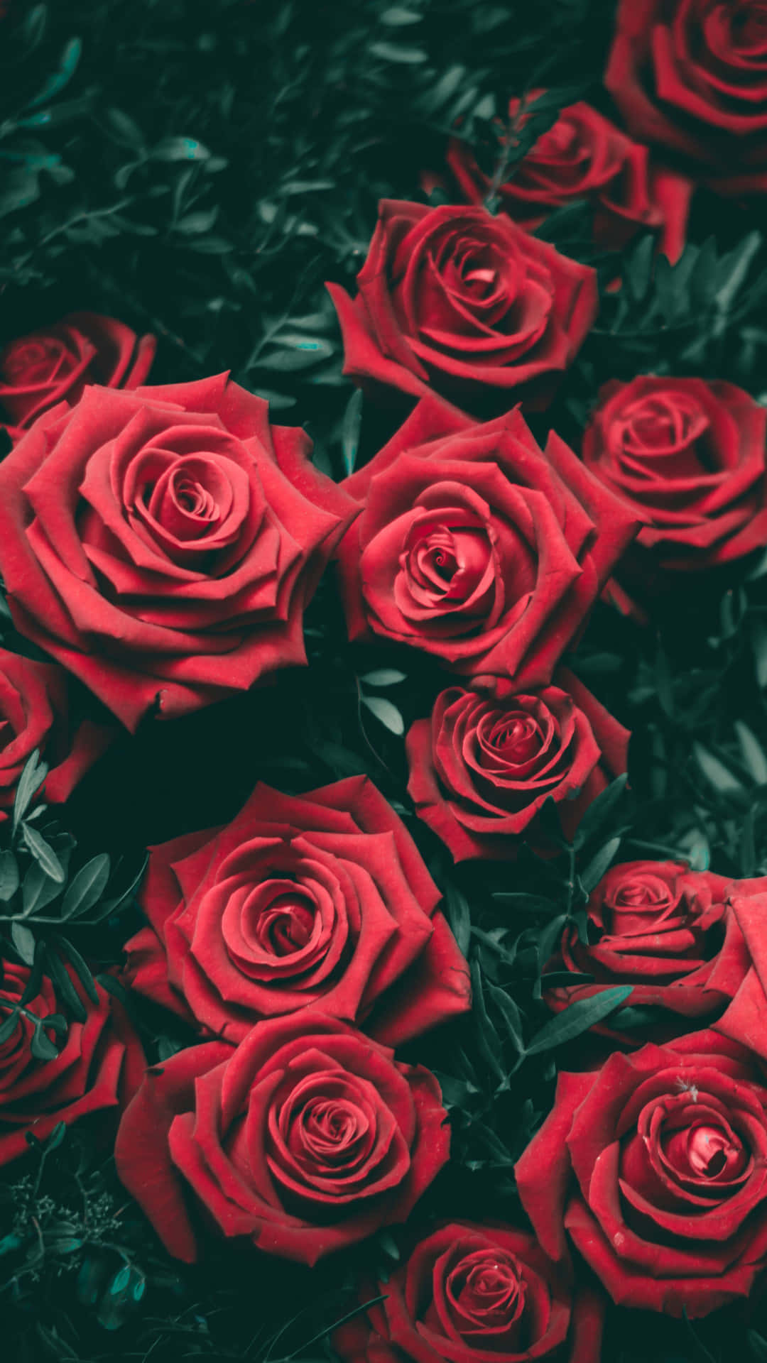 Hold dig foran med den splinternye 5G-klare iPhone 13 Wallpapers