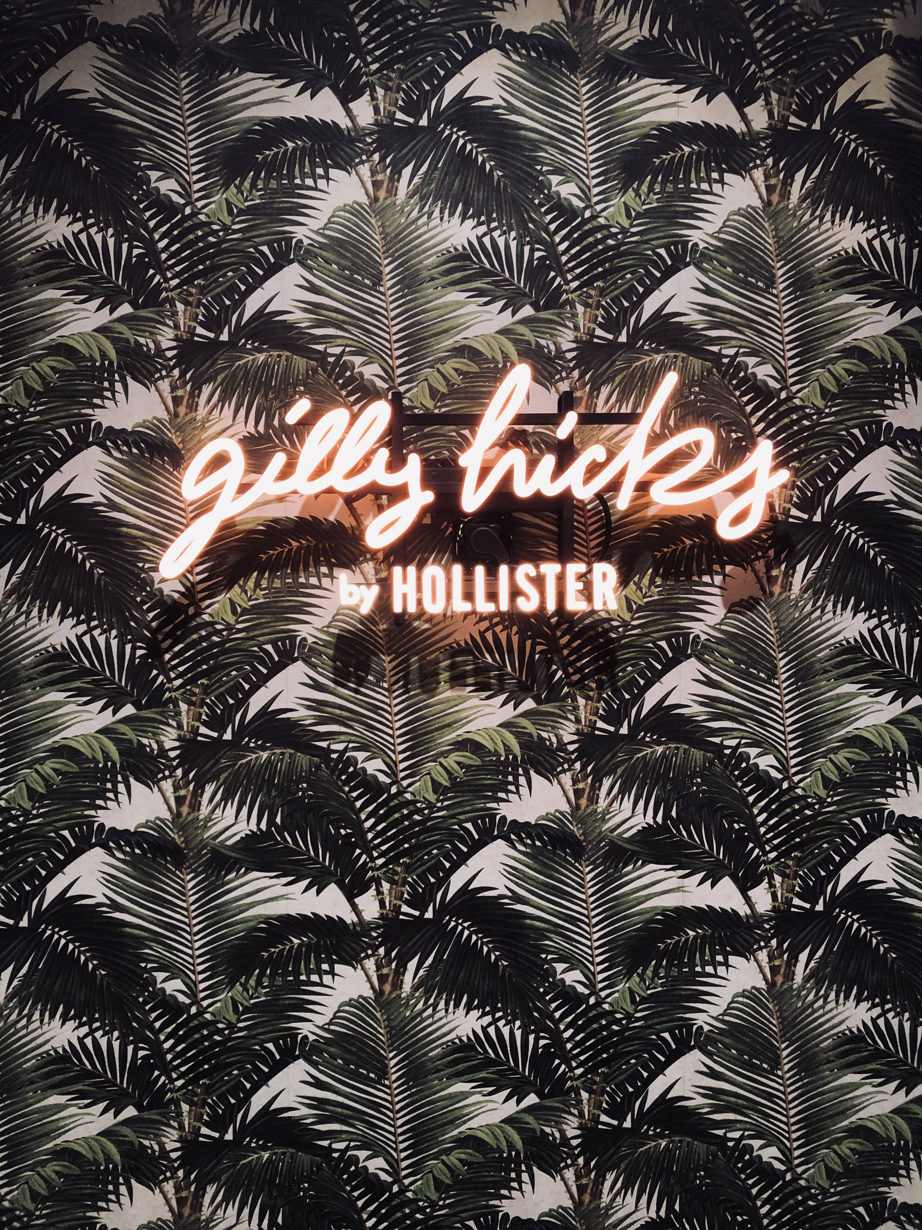 Hollister Palmetræsblade Wallpapers