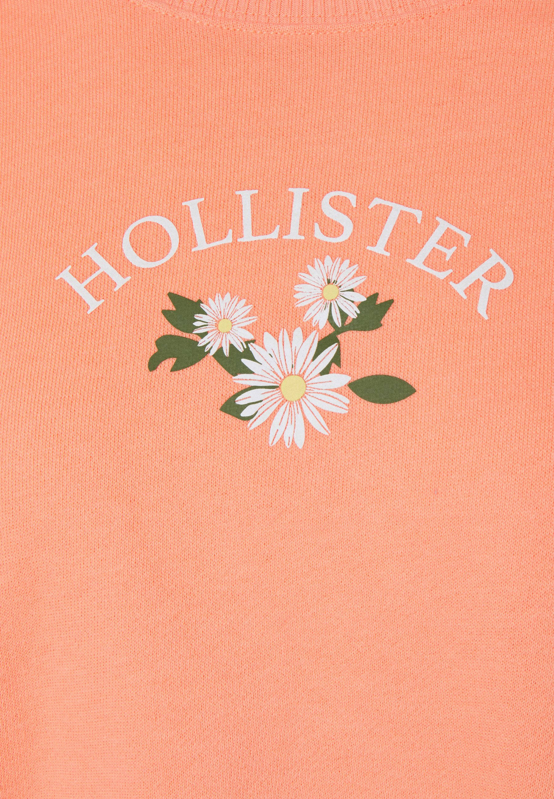 Hollister Tre Hvide Blomster Illustration Wallpapers