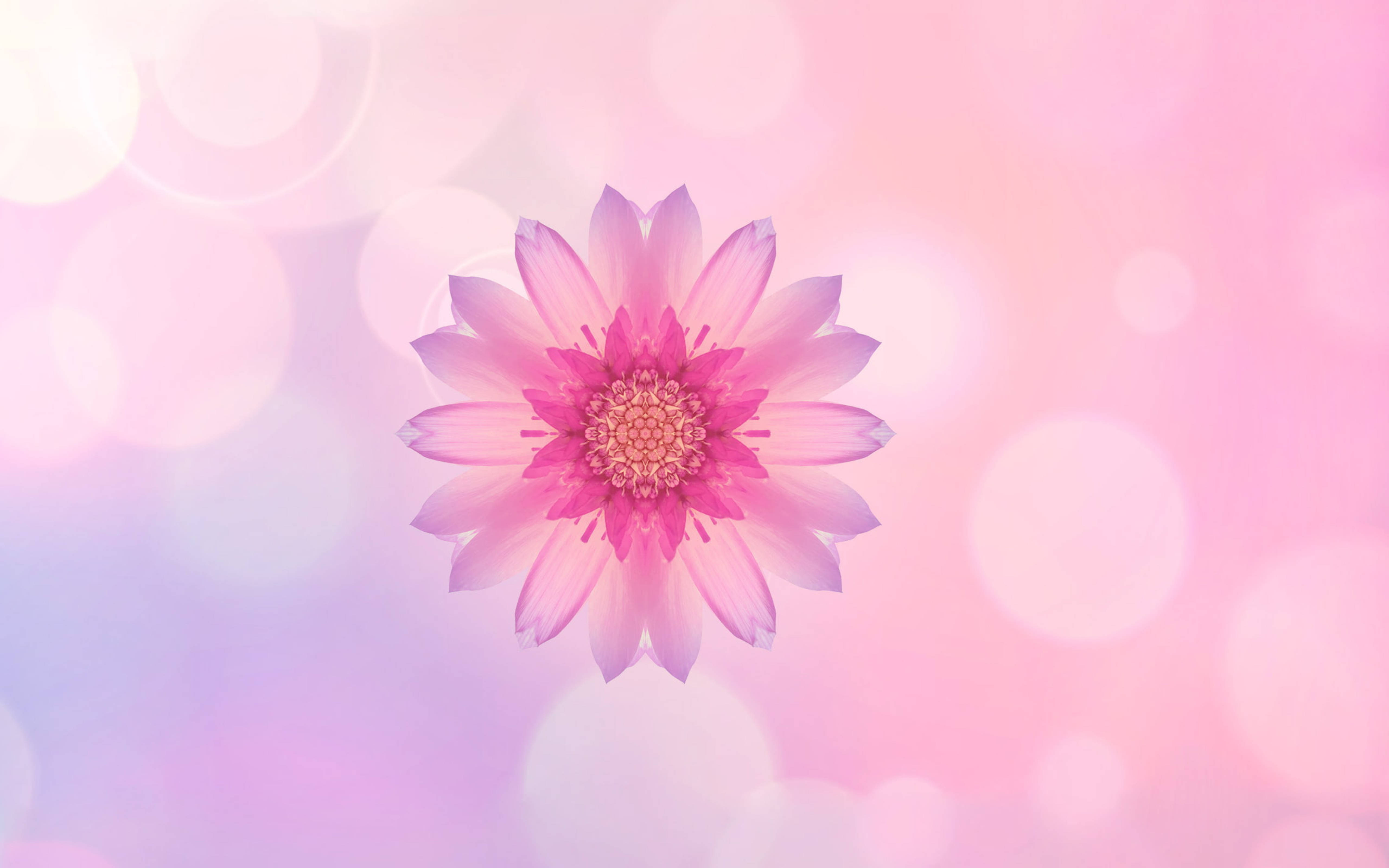 Huawei Pink Flower Wallpapers